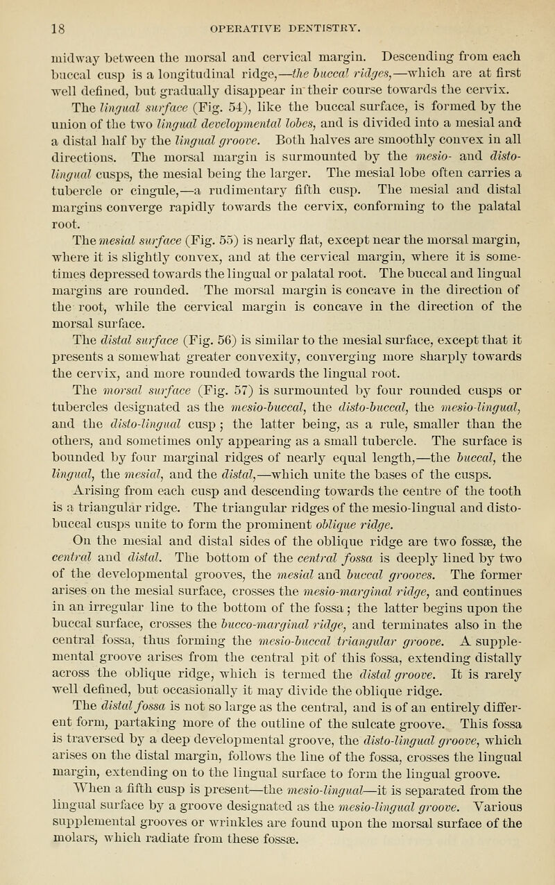 midway between the morsal and cervical margin. Descending from eacli buccal cusp is a longitudinal ridge,—the buccal rklges,—wliicli are at first well defined, but gradually disappear in' tlieir course towards tbe cervix. The Ungual surface (Fig. 54), like the buccal surface, is formed by the union of the two lingual developmental lobes, and is divided into a mesial and a distal half by the Ungual groove. Both halves are smoothly convex in all directions. The morsal margin is surmounted by the mesio- and disto- lingual cusps, the mesial being the larger. The mesial lobe often carries a tubercle or cingule,—a rudimentary fifth cusp. The mesial and distal margins converge rapidly towards the cervix, conforming to the palatal root. The mesial surface (Fig. 55) is nearly flat, except near the morsal margin, where it is slightly convex, and at the cervical margin, where it is some- times depressed towards the lingual or palatal root. The buccal and lingual margins are rounded. The morsal margin is concave in the direction of the root, while the cervical margin is concave in the direction of the morsal surface. The distal surface (Fig. 56) is similar to the mesial surface, except that it presents a somewhat greater convexity, converging more sharply towards the cervix, and more rounded towards the lingual root. The morsal surface (Fig. 57) is surmounted by four rounded cusps or tubercles designated as the mesio-buccal, the disto-buccal, the mesio-lingual, and the disto-Ungual cusp ; the latter being, as a rule, smaller than the others, and sometimes only appearing as a small tubercle. The surface is bounded by four marginal ridges of nearly equal length,—the buccal, the lingual, the mesial, and the distal,—which unite the bases of the cusps. Arising from each cusp and descending towards the centre of the tooth is a triangular ridge. The triangular ridges of the mesio-lingual and disto- buccal cusps unite to form the prominent oblique ridge. On the mesial and distal sides of the oblique ridge are two fossae, the central and distal. The bottom of the central fossa is deeply lined by two of the developmental grooves, the mesial and buccal grooves. The former arises on the mesial surface, crosses the mesio-marginal ridge, and continues in an irregular line to the bottom of the fossa ; the latter begins upon the buccal surface, crosses the bucco-marginal ridge, and terminates also in the central fossa, thus forming the mesio-buccal triangular groove. A supple- mental groove arises from the central pit of this fossa, extending distally across the oblique ridge, which is termed the distal groove. It is rarely well defined, but occasionally it may divide the oblique ridge. The distal fossa is not so large as the central, and is of an entirely differ- ent form, partaking more of the outline of the sulcate groove. This fossa is traversed by a deep developmental groove, the disto-Ungual groove, which arises on the distal margin, follows the line of the fossa, crosses the lingual margin, extending on to the lingual surface to form the lingual groove. When a fifth cusp is present—the mesio-lingual—it is separated from the lingual surface by a groove designated as the mesio-lingual groove. Various supplemental grooves or wrinkles are found upon the morsal surface of the molars, which radiate from these fossae.