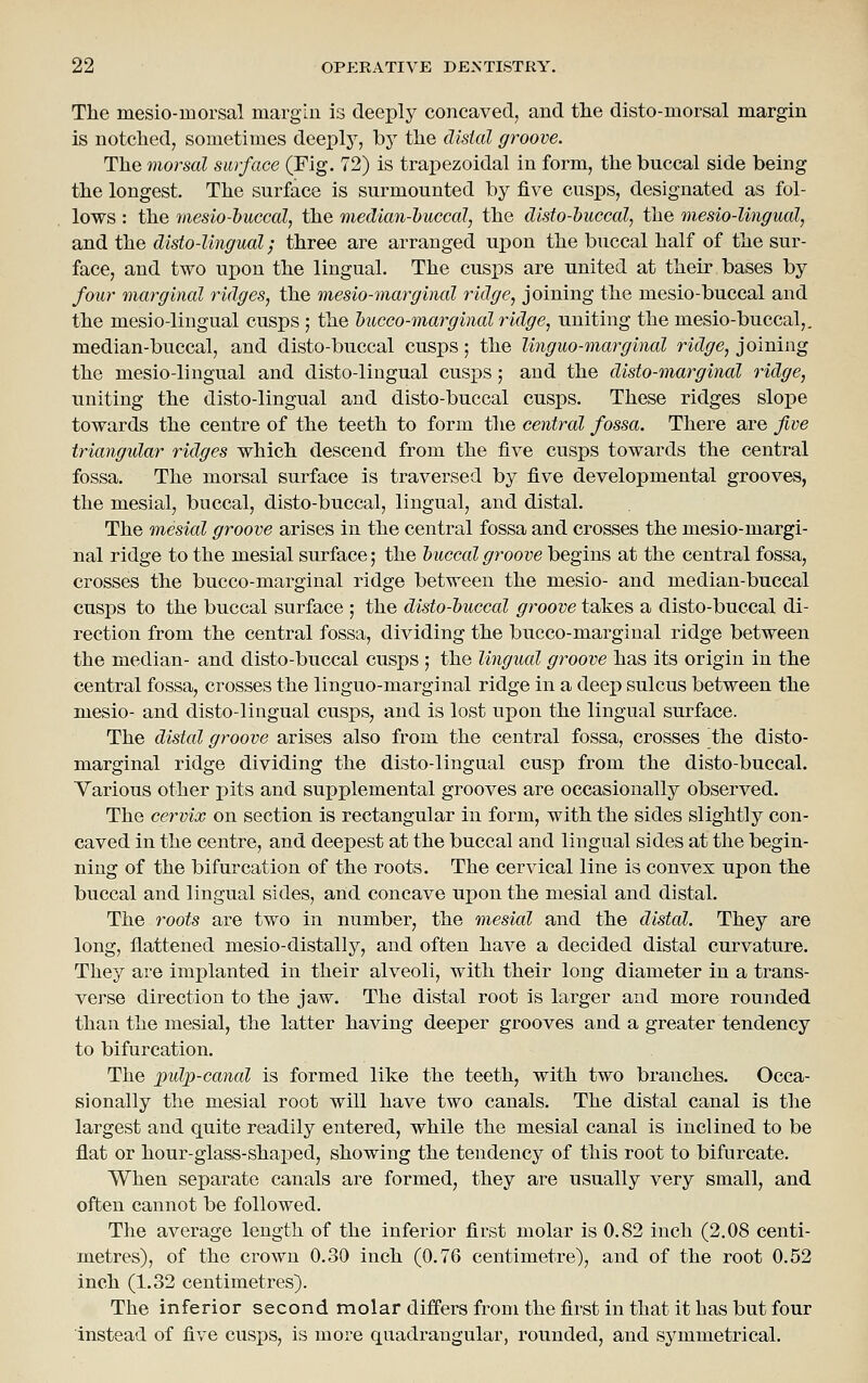The mesio-morsal margiu is deeply concaved, and the disto-morsal margin is notched, sometimes deeply, by the distal groove. The morsal surface (Fig. 72) is trapezoidal in form, the buccal side being the longest. The surface is surmounted by five cusps, designated as fol- lows : the 7iiesio-buccal, the median-huccal, the dlsto-buccal, the mesio-lingual, and the disto-Ungual; three are arranged upon the buccal half of the sur- face, and two upon the lingual. The cusps are united at their bases by four marginal ridges, the mesio-marginal ridge, joining the mesio-buccal and the mesio-lingual cusps ; the hucco-marginal ridge, uniting the mesio-buccal,, median-buccal, and disto-buccal cusps; the linguo-marginal ridge, joining the mesio-lingual and disto-lingual cusps; and the disto-marginal ridge, uniting the disto-lingual and disto-buccal cusps. These ridges slope towards the centre of the teeth to form the central fossa. There are five triangular ridges which descend from the five cusps towards the centi-al fossa. The morsal surface is traversed by five developmental grooves, the mesial, buccal, disto-buccal, lingual, and distal. The mesial groove arises in the central fossa and crosses the mesio-margi- nal ridge to the mesial surface; the buccal groove begins at the central fossa, crosses the bucco-marginal ridge between the mesio- and median-buccal cusps to the buccal surface ; the disto-huccal groove takes a disto-buccal di- rection from the central fossa, dividing the bucco-marginal ridge between the median- and disto-buccal cusps ; the lingual groove has its origin in the central fossa, crosses the linguo-marginal ridge in a deep sulcus between the mesio- and disto-lingual cusps, and is lost uiDon the lingual surface. The distal groove arises also from the central fossa, crosses the disto- marginal ridge dividing the disto-lingual cusp from the disto-buccal. Various other pits and supplemental grooves are occasionally observed. The cervix on section is rectangular in form, with the sides slightly con- caved in the centre, and deepest at the buccal and lingual sides at the begin- ning of the bifurcation of the roots. The cervical line is convex upon the buccal and lingual sides, and concave upon the mesial and distal. The roots are two in number, the mesial and the distal. They are long, flattened mesio-distally, and often have a decided distal curvature. They are implanted in their alveoli, with their long diameter in a trans- verse direction to the jaw. The distal root is larger and more rounded than the mesial, the latter having deeper grooves and a greater tendency to bifurcation. The pulp-canal is formed like the teeth, with two branches. Occa- sionally the mesial root will have two canals. The distal canal is the largest and quite readily entered, while the mesial canal is inclined to be flat or hour-glass-shaped, showing the tendency of this root to bifurcate. When separate canals are formed, they are usually very small, and often cannot be followed. The average length of the inferior first molar is 0.82 inch (2.08 centi- metres), of the crown 0.30 inch (0.76 centimetre), and of the root 0.52 inch (1.32 centimetres). The inferior second molar differs from the first in that it has but four instead of five cusjds, is more quadrangular, rounded, and symmetrical.