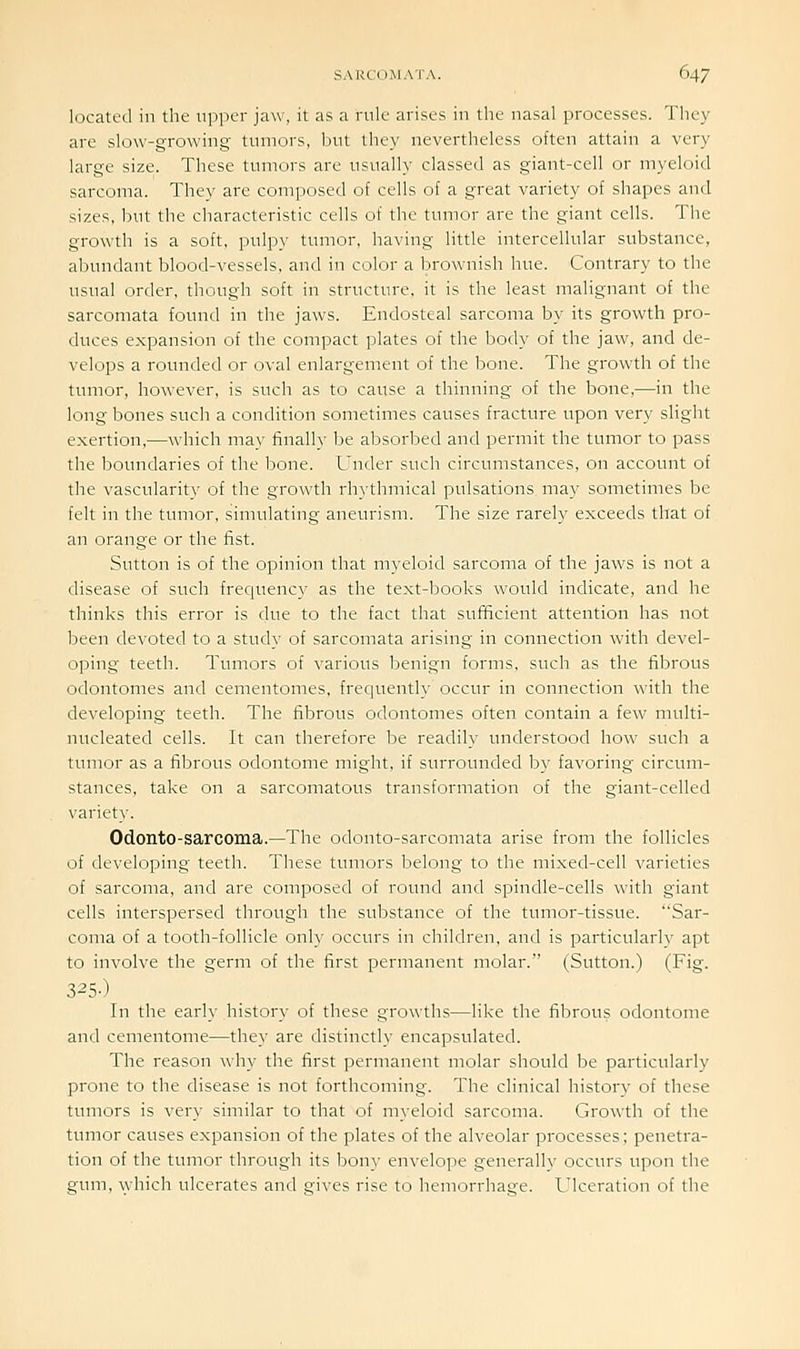 located in the upper jaw, it as a rule arises in the nasal processes. They are slow-growing tumors, but they nevertheless often attain a very large size. These tumors are usually classed as giant-cell or myeloid sarcoma. They are composed of cells of a great variety of shapes and sizes, but the characteristic cells of the tumor are the giant cells. The growth is a soft, pulpy tumor, having little intercellular substance, abundant blood-vessels, and in color a brownish hue. Contrary to the usual order, though soft in structure, it is the least malignant of the sarcomata found in the jaws. Endosteal sarcoma by its growth pro- duces expansion of the compact plates of the body of the jaw, and de- velops a rounded or oval enlargement of the bone. The growth of the tumor, however, is such as to cause a thinning of the bone,—in the long bones such a condition sometimes causes fracture upon very slight exertion,—which may finally be absorbed and permit the tumor to pass the boundaries of the bone. Under such circumstances, on account of the vascularity of the growth rhythmical pulsations may sometimes be felt in the tumor, simulating aneurism. The size rarely exceeds that of an orange or the fist. Sutton is of the opinion that myeloid sarcoma of the jaws is not a disease of such frequency as the text-books would indicate, and he thinks this error is d^ie to the fact that sufficient attention has not been devoted to a study of sarcomata arising in connection with devel- oping teeth. Tumors of various benign forms, such as the fibrous odontomes and cementomes, frequently occur in connection with the developing teeth. The fibrous odontomes often contain a few multi- nucleated cells. It can therefore be readily understood how such a tumor as a fibrous odontome might, if surrounded by favoring circum- stances, take on a sarcomatous transformation of the giant-celled variety. Odonto-sarcoma.—The odonto-sarcomata arise from the follicles of developing teeth. These tumors belong to the mixed-cell varieties of sarcoma, and are composed of round and spindle-cells with giant cells interspersed through the substance of the tumor-tissue. Sar- coma of a tooth-follicle only occurs in children, and is particularly apt to involve the germ of the first permanent molar. (Sutton.) (Fig. 325-) In the early history of these growths—like the fibrous odontome and cementome—they are distinctly encapsidated. The reason why the first permanent molar should be particularly prone to the disease is not forthcoming. The clinical history of these tumors is very similar to that of myeloid sarcoma. Growth of the tumor causes expansion of the plates of the alveolar processes; penetra- tion of the tumor through its bony envelope generally occurs upon the gum, \yhich ulcerates and gives rise to hemorrhage. Ulceration of the