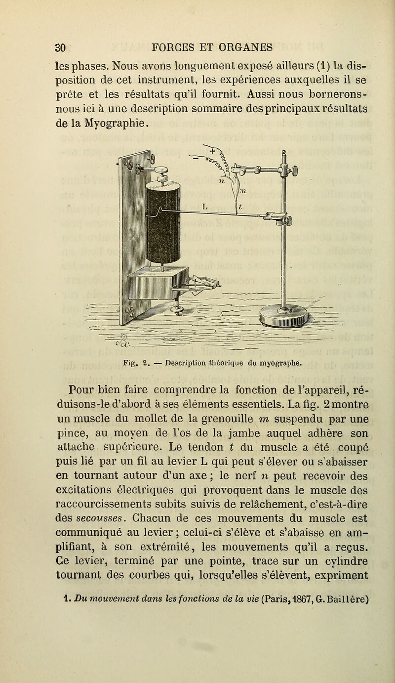 les phases. Nous avons longuement exposé ailleurs (1) la dis- position de cet instrument, les expériences auxquelles il se prête et les résultats qu'il fournit. Aussi nous bornerons- nous ici à une description sommaire des principaux résultats de la Myographie. Fig. 2. — Description théorique du myographe. Pour bien faire comprendre la fonction de l'appareil, ré- duisons-le d'abord à ses éléments essentiels, La fig, 2 montre un muscle du mollet de la grenouille m suspendu par une pince, au moyen de l'os de la jambe auquel adhère son attache supérieure. Le tendon t du muscle a été coupé puis lié par un fil au levier L qui peut s'élever ou s'abaisser en tournant autour d'un axe ; le nerf n peut recevoir des excitations électriques qui provoquent dans le muscle des raccourcissements subits suivis de relâchement, c'est-à-dire des secousses. Chacun de ces mouvements du muscle est communiqué au levier ; celui-ci s'élève et s'abaisse en am- plifiant, à son extrémité, les mouvements qu'il a reçus. Ce levier, terminé par une pointe, trace sur un cylmdre tournant des courbes qui, lorsqu'elles s'élèvent, expriment 1. Du mouvement dans les fonctions de la vie (Paris, 1867, G. Baillère)