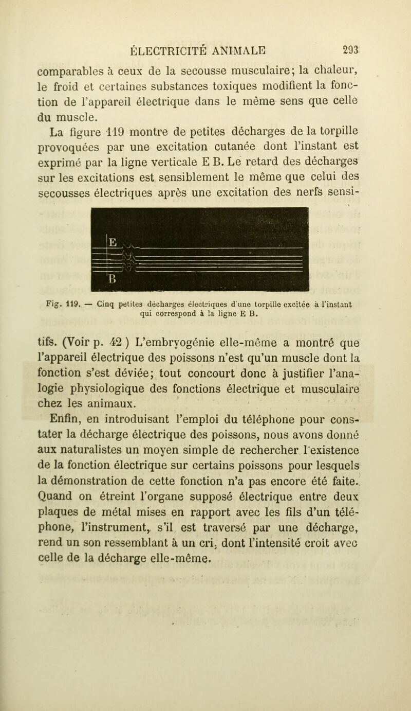 comparables à ceux de la secousse musculaire; la chaleur, le froid et certaines substances toxiques modifient la fonc- tion de l'appareil électrique dans le même sens que celle du muscle. La figure 119 montre de petites décharges de la torpille provoquées par une excitation cutanée dont l'instant est exprimé par la ligne verticale E B. Le retard des décharges sur les excitations est sensiblement le même que celui des secousses électriques après une excitation des nerfs sensi- Fig. 119. — Cinq petites décharges électriques d'une torpille excitée à l'instaut qui correspond à la ligne E B. tifs. (Voir p. 42 ) L'embryogénie elle-même a montré que l'appareil électrique des poissons n'est qu'un muscle dont la fonction s'est déviée; tout concourt donc à justifier l'ana- logie physiologique des fonctions électrique et musculaire chez les animaux. Enfin, en introduisant l'emploi du téléphone pour cons- tater la décharge électrique des poissons, nous avons donné aux naturahstes un moyen simple de rechercher l'existence de la fonction électrique sur certains poissons pour lesquels la démonstration de cette fonction n'a pas encore été faite. Quand on étreint l'organe supposé électrique entre deux plaques de métal mises en rapport avec les fils d'un télé- phone, l'instrument, s'il est traversé par une décharge, rend un son ressemblant à un cri; dont l'intensité croit avec celle de la décharge elle-même.