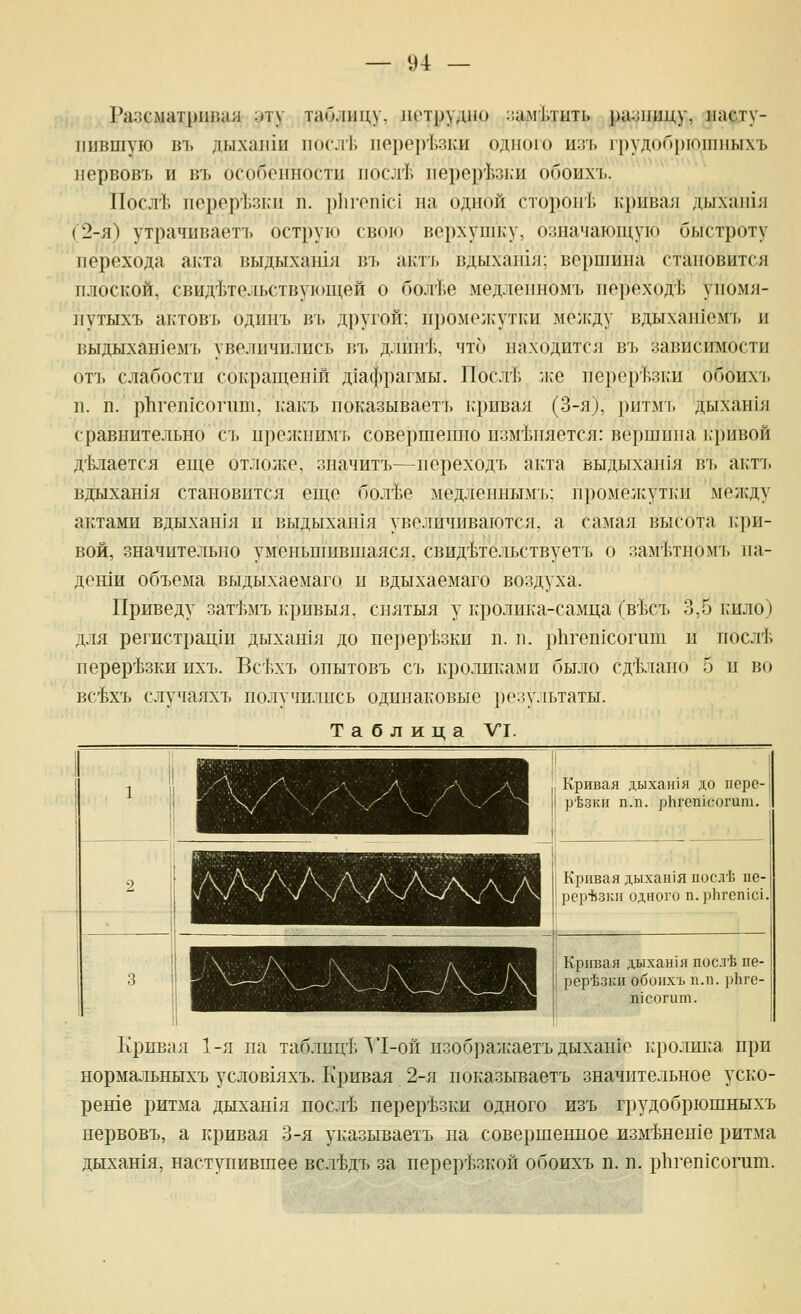 Ра:зсмат1)11Г>ая ;>ту таблицу, лотрудио :!ам'1,тыть ра^лшцу, насту- пившую ПЪ ДЫХаПХИ ПОСЛ'Ь 11ер01гЬзКИ одного И:Г[. 1руД0б1)10НН1ЫХЪ нервовъ и въ особенности посл!! перер'Ьз1.и обоихь. Посл'Ь норер'Ьзки п. р1п'РП1с1 на одной стороиГ. кривая дыхан1л (2-я) утрачиваетъ острую свою верхушку, о:{начаюш,ую быстроту перехода а]:та выдыхашя въ актъ вдыхан1я; вершина становится плоской, свид'Ьтельствующей о бол'1>е медленномъ переход'Ь уномя- нутыхъ актовъ одинъ вь другой: промежутки между вдыхаи1еш> и выдыхан1емъ увеличились въ д.пш'Ь, что находится въ зависгшости отъ слабости сокращен1Й д1афрагмы. Посл'1; -лее нерерУ^зки обоихъ 11. п. р11ген1согш11, какъ ноказываетъ кривая (3-я), ритмъ дыхан1я сравнительно съ нрелшимъ совершенно изменяется: вершина ьривой д'Ьлается еще отложе, значитъ—нереходъ акта выдыха]11я въ акть вдыхан1я становится еш,е бол'Ье медленным!,: промежутки мелсду актами вдыхан1*я и выдыхан1я увеличиваются, а самая высота ь'ри- вой, значительно уменьшившаяся, свид-Ьтельствуетъ о зам'ктномъ на- деши объема выдыхаемаго и вдыхаемаго воздуха. Приведу зат1^мъ кривыя, снятыя у кролика-самца ГвЬсъ 3,5 гшло) для регпстрацш дыхангя до перерезки п. п. рЬгеп]согит н носл1^ перер4з1ш ихъ. ВсЬхъ опытовъ сь кролш^ами было сд'Ьлано 5 и во вс4хъ случаяхъ получились одинаковые результаты. Таблица VI. Кривая дыхан1я до пере- рЬзк» п.11. р11ГСп1еогит. Кривая дыхан1я посл'1; пе- рер*зк)1 одного п.р11геп1С1. Кривая дыхан1я пос.тЬ пе- ререзки обоихъ п.11. рЬге- п1согит. Кривая 1-я па таблиц'1Л*1-ой изображаетъ дыхан1е кролика при нормальныхъ условгяхъ. Кривая 2-я ноказываетъ значительное уско- реше ритма дыхан1я посл'Ь перерезки одного изъ грудобрюшныхъ нервовъ, а кривая 3-я ук'азываетъ па совершенное изм'Ьнеи1е ритма дыхашя, наступившее всл-Ьдъ за перер^^зкой обоихъ п. п. р11геп1Согит.