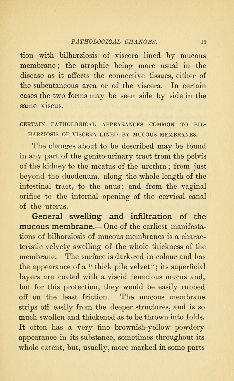 tion with bilharziosis of viscera lined by mucous membrane; the atrophic being more usual in the disease as it affects the connective tissues, either of the subcutaneous area or of the viscera. In certain cases the two forms may be seen side by side in the same viscus. CEETAIN PATHOLOGICAL APPEARANCES COMMON TO BIL- HARZIOSIS OF VISCERA LINED BY MUCOUS MEMBRANES. The changes about to be described may be found in any part of the genito-urinary tract from the pelvis of the kidney to the meatus of the urethra; from just beyond the duodenum, along the whole length of the intestinal tract, to the anus; and from the vaginal orifice to the internal opening of the cervical canal of the uterus. General swelling and infiltration of the mucous membrane.—One of the earliest manifesta- tions of bilharziosis of mucous membranes is a charac- teristic velvety swelling of the whole thickness of the membrane. The surface is dark-red in colour and has the appearance of a  thick pile velvet; its superficial layers are coated with a viscid tenacious mucus and, but for this protection, they would be easily rubbed off on the least friction. The mucous membrane strips off easily from the deeper structures, and is so much swollen and thickened as to be thrown into folds. It often has a very fine brownish-yellow powdery appearance in its substance, sometimes throughout its whole extent, but, usually, more marked in some parts