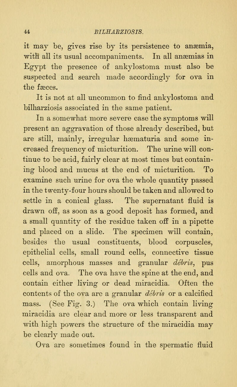 it may be, gives rise by its persistence to anaemia, with all its usual accompaniments. In all anaemias in Egypt the presence of ankylostoma must also be suspected and search made accordingly for ova in the fasces. It is not at all uncommon to find ankylostoma and bilharziosis associated in the same patient. In a somewhat more severe case the symptoms will present an aggravation of those already described, but are still, mainly, irregular haematuria and some in- creased frequency of micturition. The urine will con- tinue to be acid, fairly clear at most times but contain- ing blood and mucus at the end of micturition. To examine such urine for ova the whole quantity passed in the t tventy-four hours should be taken and allowed to settle in a conical glass. The supernatant fluid is drawn off, as soon as a good deposit has formed, and a small quantity of the residue taken off in a pipette and placed on a slide. The specimen will contain, besides the usual constituents, blood corpuscles, epithelial cells, small round cells, connective tissue cells, amorphous masses and granular debris, pus cells and ova. The ova have the spine at the end, and contain either living or dead miracidia. Often the contents of the ova are a granular debris or a calcified mass. (See Fig. 3.) The ova which contain living miracidia are clear and more or less transparent and with high powers the structure of the miracidia may be clearly made out. Ova are sometimes found in the spermatic fluid