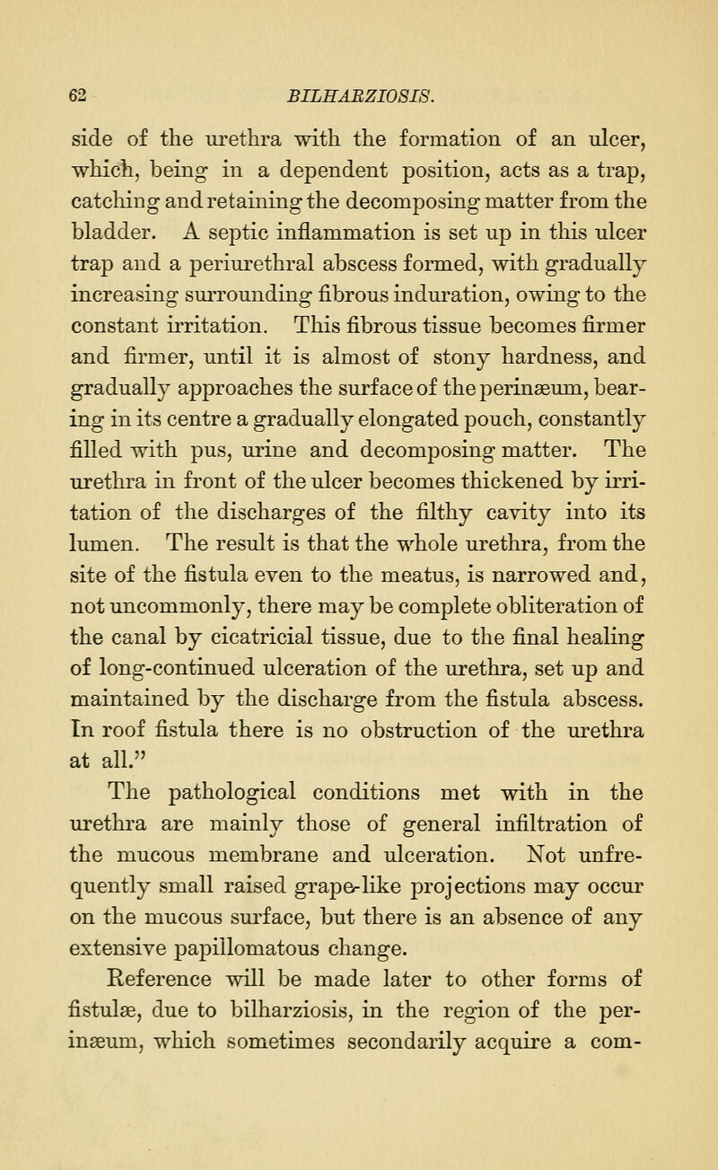 side of the urethra with the formation of an nicer, which, being in a dependent position, acts as a trap, catching and retaining the decomposing matter from the bladder. A septic inflammation is set up in this ulcer trap and a periurethral abscess formed, with gradually increasing surrounding fibrous induration, owing to the constant irritation. This fibrous tissue becomes firmer and firmer, until it is almost of stony hardness, and gradually approaches the surface of the perinseum, bear- ing in its centre a gradually elongated pouch, constantly filled with pus, urine and decomposing matter. The urethra in front of the ulcer becomes thickened by irri- tation of the discharges of the filthy cavity into its lumen. The result is that the whole urethra, from the site of the fistula even to the meatus, is narrowed and, not uncommonly, there may be complete obliteration of the canal by cicatricial tissue, due to the final healing of long-continued ulceration of the urethra, set up and maintained by the discharge from the fistula abscess. In roof fistula there is no obstruction of the urethra at all. The pathological conditions met with in the urethra are mainly those of general infiltration of the mucous membrane and ulceration. Not unfre- quently small raised grape-like projections may occur on the mucous surface, but there is an absence of any extensive papillomatous change. Reference will be made later to other forms of fistulas, due to bilharziosis, in the region of the per- inaBum, which sometimes secondarily acquire a com-