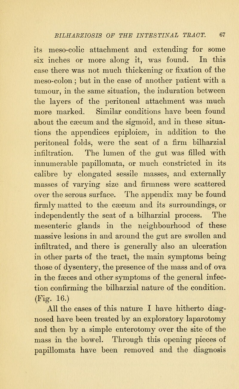 its meso-colic attachment and extending for some six inches or more along it, was found. In this case there was not much thickening or fixation of the meso-colon ; but in the case of another patient with a tumour, in the same situation, the induration between the layers of the peritoneal attachment was much more marked. Similar conditions have been found about the caecum and the sigmoid, and in these situa- tions the appendices epiploicse, in addition to the peritoneal folds, were the seat of a firm bilharzial infiltration. The lumen of the gut was filled with innumerable papillomata, or much constricted in its calibre by elongated sessile masses, and externally masses of varying size and firmness were scattered over the serous surface. The appendix may be found firmly matted to the caecum and its surroundings, or independently the seat of a bilharzial process. The mesenteric glands in the neighbourhood of these massive lesions in and around the gut are swollen and infiltrated, and there is generally also an ulceration in other parts of the tract, the main symptoms being those of dysentery, the presence of the mass and of ova in the fseces and other symptoms of the general infec- tion confirming the bilharzial nature of the condition. (Fig. 16.) All the cases of this nature I have hitherto diag- nosed have been treated by an exploratory laparotomy and then by a simple enterotomy over the site of the mass in the bowel. Through this opening pieces of papillomata have been removed and the diagnosis