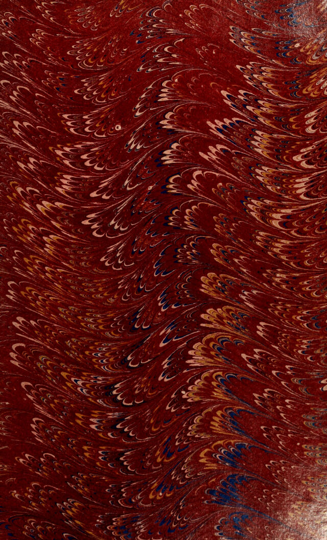 No text description is available for this image