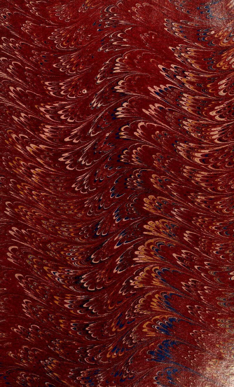 ^- ^- ^^: ^■^^^S^ e.r--^ ^^ fd^^ ^?«ev .*^ ^''^:i:>^^*^'. ^<? <'^..-:: ^<^f^^::^u^- ^/:;.^^ ^: V5^ -i^: ^M> v^5^