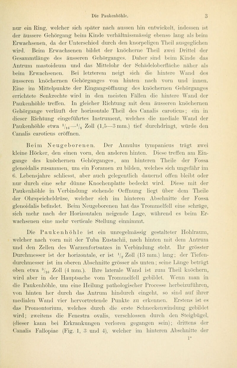 nur ein Ring, welcher sich später nach aussen hin entwickelt, indessen ist der äussere Gehörgang beim Kinde verhältnissmässig ebenso lang als beim Erwachsenen, da der Unterschied durch den knorpeligen Thoil ausgeglichen wird. Beim Erwachsenen bildet der knöcherne Theil zwei Drittel der Gesammtlänge des äusseren Gehörganges. Daher sind beim Kinde das Antrum mastoideum und das Mittelohr der Schädeloberfläche näher als beim Erwachsenen. Bei letzterem neigt sich die hintere Wand des äusseren knöchernen Gehörganges von hinten nach vorn und innen. Eine im Mittelpunkte der Eingangsöffnung des knöchernen Gehörganges errichtete Senkrechte wird in den meisten Fällen die hintere Wand der Paukenhöhle treffen. In gleicher Richtung mit dem äusseren knöchernen Gehörgange verläuft der horizontale Theil des Canalis caroticus; ein in dieser Richtung eingeführtes Instrument, welches die mediale Wand der Paukenhöhle etwa Vie—Vs ^oll (1,5—3 mm.) tief durchdringt, würde den Canalis caroticus eröffnen. Beim Neugeborenen. Der Annulus tympanicus trägt zwei kleine Höcker, den einen vorn, den anderen hinten. Diese treffen am Ein- gange des knöchernen Gehörganges, am hinteren Theile der Fossa glenoidalis zusammen, um ein Foramen zu bilden, welches sich ungefähr im 6. Lebensjahre schliesst, aber auch gelegentlich dauernd offen bleibt oder nur durch eine sehr dünne Knochenplatte bedeckt wird. Diese mit der Paukenhöhle in Verbindung stehende Oeffnung liegt über dem Theile der Ohrspeicheldrüse, w^elcher sich im hmteren Abschnitte der Fossa glenoidalis befindet. Beim Neugeborenen hat das Trommelfell eine schräge, sich mehr nach der Horizontalen neigende Lage, während es beim Er- wachsenen eine mehr verticale Stellung einnimmt. Die Paukenhöhle ist ein unregelmässig gestalteter Hohbaum, welcher nach vorn mit der Tuba Eustachii, nach hinten mit dem Antrum und den Zellen des Warzenfortsatzes in Verbindung steht. Ihr grösster Durchmesser ist der horizontale, er ist ^/g Zoll (13 mm.) lang; der Tiefen- durchmesser ist im oberen Abschnitte grösser als unten; seine Länge beträgt oben etwa ^/^g Zoll (4 mm.). Ihre laterale Wand ist zum Theil knöchern, wird aber in der Hauptsache vom Trommelfell gebildet. Wenn man in die Paukenhöhle, um eine Heilung pathologischer Processe herbeizuführen, von hinten her durch das Antrum hindm'ch eingeht, so sind auf ihrer medialen Wand vier hervortretende Punkte zu erkennen. Erstens ist es das Promontorium, welches dm-ch die erste Schneckenwindung gebüdet wird; zweitens die Fenestra ovahs, verschlossen dm-ch den Steigbügel, (dieser kann bei Erkrankungen verloren gegangen sein); drittens der CanaHs Fallopiae (Fig. 1, 3 und 4), welcher im hinteren Abschnitte der 1*