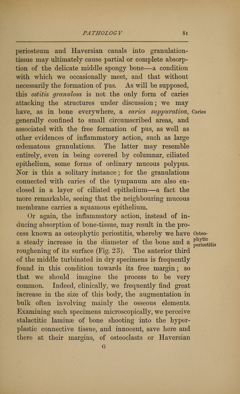 periosteum and Haversian canals into granulation- tissue may ultimately cause partial or complete absorp- tion of the delicate middle spongy bone—a condition with which we occasionally meet, and that without necessarily the formation of pus. As will be supposed, this ostitis granulosa is not the only form of caries attacking the structures under discussion; we may have, as in bone everywhere, a caries suppurativa, Caries generally confined to small circumscribed areas, and associated with the free formation of pus, as well as other evidences of inflammatory action, such as large oedematous granulations. The latter may resemble entirely, even in being covered by columnar, ciliated epithelium, some forms of ordinary mucous polypus. Nor is this a solitary instance; for the granulations connected with caries of the tympanum are also en- closed in a layer of ciliated epithelium—a fact the more remarkable, seeing that the neighbouring mucous membrane carries a squamous epithelium. Or again, the inflammatory action, instead of in- ducing absorption of bone-tissue, may result in the pro- cess known as osteophytic periostitis, whereby we have Osteo- a steady increase in the diameter of the bone and a Lriostitis roughening of its surface (Fig. 23). The anterior third of the middle turbinated in dry specimens is frequently found in this condition towards its free margin; so that we should imagine the process to be very common. Indeed, clinically, we frequently find great increase in the size of this body, the augmentation in bulk often involving mainly the osseous elements. Examining such specimens microscopically, we perceive stalactitic laminae of bone shooting into the hyper- plastic connective tissue, and innocent, save here and there at their margins, of osteoclasts or Haversian