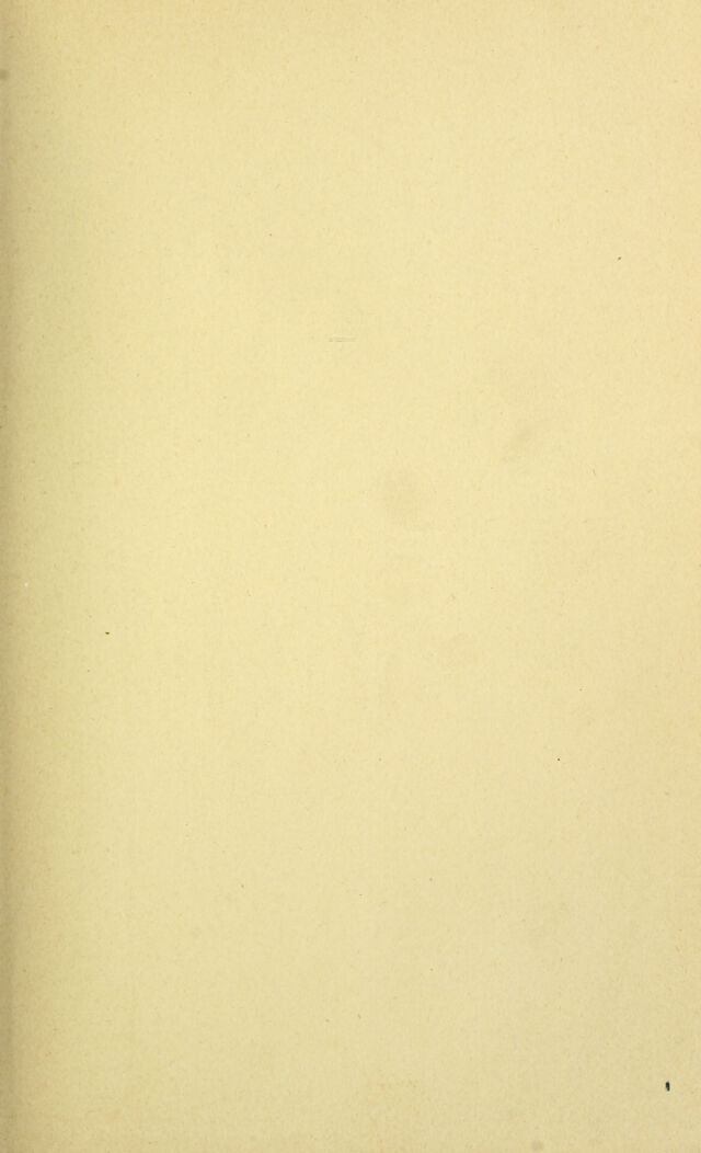 digitised image 3