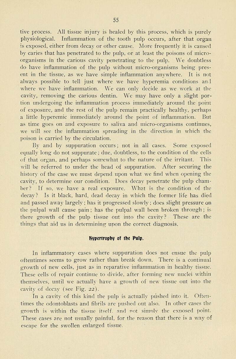 tive process. All tissue injury is healed by this process, which is purely physiological. Inflammation of the tooth pulp occurs, after that organ is exposed, either from decay or other cause. More frequently it is caused by caries that has penetrated to the pulp, or at least the poisons of micro- organisms in the carious cavity penetrating to the pulp. We doubtless do have inflammation of the pulp without micro-organisms being pres- ent in the tissue, as we have simple inflammation anywhere. It is not always possible to tell just where we have hyperemia conditions and where we have inflammation. We can only decide as we work at the cavity, removing the carious dentin. We may have only a slight por- tion undergoing the inflammation process immediately around the point of exposure, and the rest of the pulp remain practically healthy, perhaps a little hyperemic immediately around the point of inflammation. But as time goes on and exposure to saliva and micro-organisms continues, we will see the inflammation spreading in the direction in which the poison is carried by the circulation. By and by suppuration occurs; not in all cases. Some exposed equally long do not suppurate; due, doubtless, to the condition of the cells of that organ, and perhaps som.ewhat to the nature of the irritant. This will be referred to under the head of suppuration. After securing the history of the case we must depend upon what we find when opening the cavity, to determine our condition. Does decay penetrate the pulp cham- ber? If so, we have a real exposure. What is the condition of the decay ? Is it black, hard, dead decay in which the former life has died and passed away largely; has it progressed slowly; does slight pressure on the pulpal wall cause pain; has the pulpal wall been broken through; is there growth of the pulp tissue out into the cavity? These are the things that aid us in determining upon the correct diagnosis. Rypertropby of the Pulp. In inflammatory cases where suppuration does not ensue the pulp oftentimes seems to grow rather than break down. There is a continual growth of new cells, just as in reparative inflammation in healthy tissue. These cells of repair continue to divide, after forming new nuclei within themselves, until we actually have a growth of new tissue out into the cavity of decay (see Fig. 22). In a cavity of this kind the pulp is actually pushed into it. Often- times the odontoblasts and fibrils are pushed out also. In other cases the growth is within the tissue itself, and not simoly the exposed point. These cases are not usually painful, for the reason that there is a way of escape for the swollen enlarged tissue.