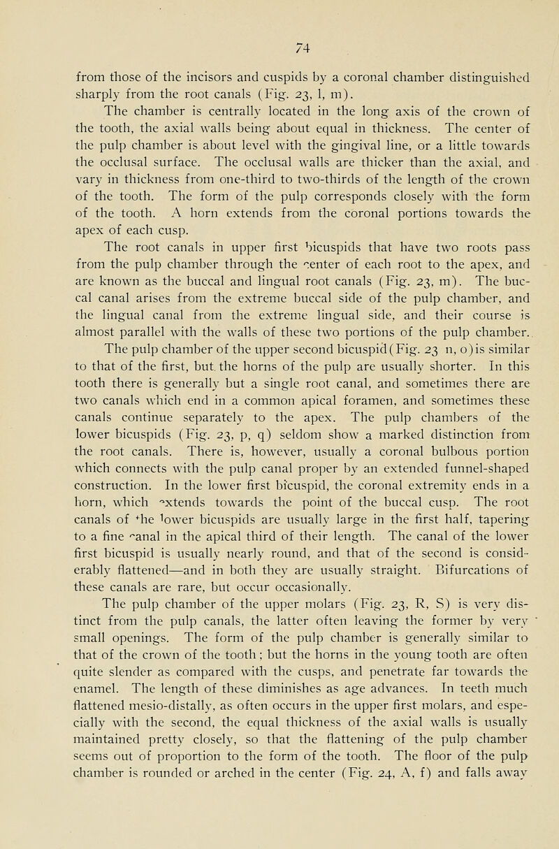 from those of the incisors and cuspids by a coronal chamber distinguished sharply from the root canals (Fig. 2^,, 1, m). The chamber is centrally located in the long axis of the crown of the tooth, the axial walls being about equal in thickness. The center of the pulp chamber is about level with the gingival line, or a little towards the occlusal surface. The occlusal walls are thicker than the axial, and vary in thickness from one-third to two-thirds of the length of the crown of the tooth. The form of the pulp corresponds closely with the form of the tooth. A horn extends from the coronal portions towards the apex of each cusp. The root canals in upper first bicuspids that have two roots pass from the pulp chamber through the 'tenter of each root to the apex, and are known as the buccal and lingual root canals (Fig. 23, m). The buc- cal canal arises from the extreme buccal side of the pulp chamber, and the lingual canal from the extreme lingual side, and their course is almost parallel with the walls of these two portions of the pulp chamber.. The pulp chamber of the upper second bicuspid (Fig. 23 n, o)is similar to that of the first, but. the horns of the pulp are usually shorter. In this tooth there is generally but a single root canal, and sometimes there are two canals which end in a common apical foramen, and sometimes these canals continue separately to the apex. The pulp chambers of the lower bicuspids (Fig. 23, p, q) seldom show a marked distinction from the root canals. There is, however, usually a coronal bulbous portion which connects with the pulp canal proper by an extended funnel-shaped construction. In the lower first bicuspid, the coronal extremity ends in a horn, which -^xtends towards the point of the buccal cusp. The root canals of ^he lower bicuspids are usually large in the first half, tapering to a fine 'anal in the apical third of their length. The canal of the lower first bicuspid is usually nearly round, and that of the second is consid- erably flattened—and in both they are usually straight. Bifurcations of these canals are rare, but occur occasionally. The pulp chamber of the upper molars (Fig. 23, R, S) is very dis- tinct from the pulp canals, the latter often leaving the former by very small openings. The form of the pulp chamber is generally similar to that of the crown of the tooth; but the horns in the young tooth are often quite slender as compared with the cusps, and penetrate far towards the enamel. The length of these diminishes as age advances. In teeth much flattened mesio-distally, as often occurs in the upper first molars, and espe- cially with the second, the equal thickness of the axial walls is usually maintained pretty closely, so that the flattening of the pulp chamber seems out of proportion to the form of the tooth. The floor of the pulp chamber is rounded or arched in the center (Fig. 24, A, f) and falls away