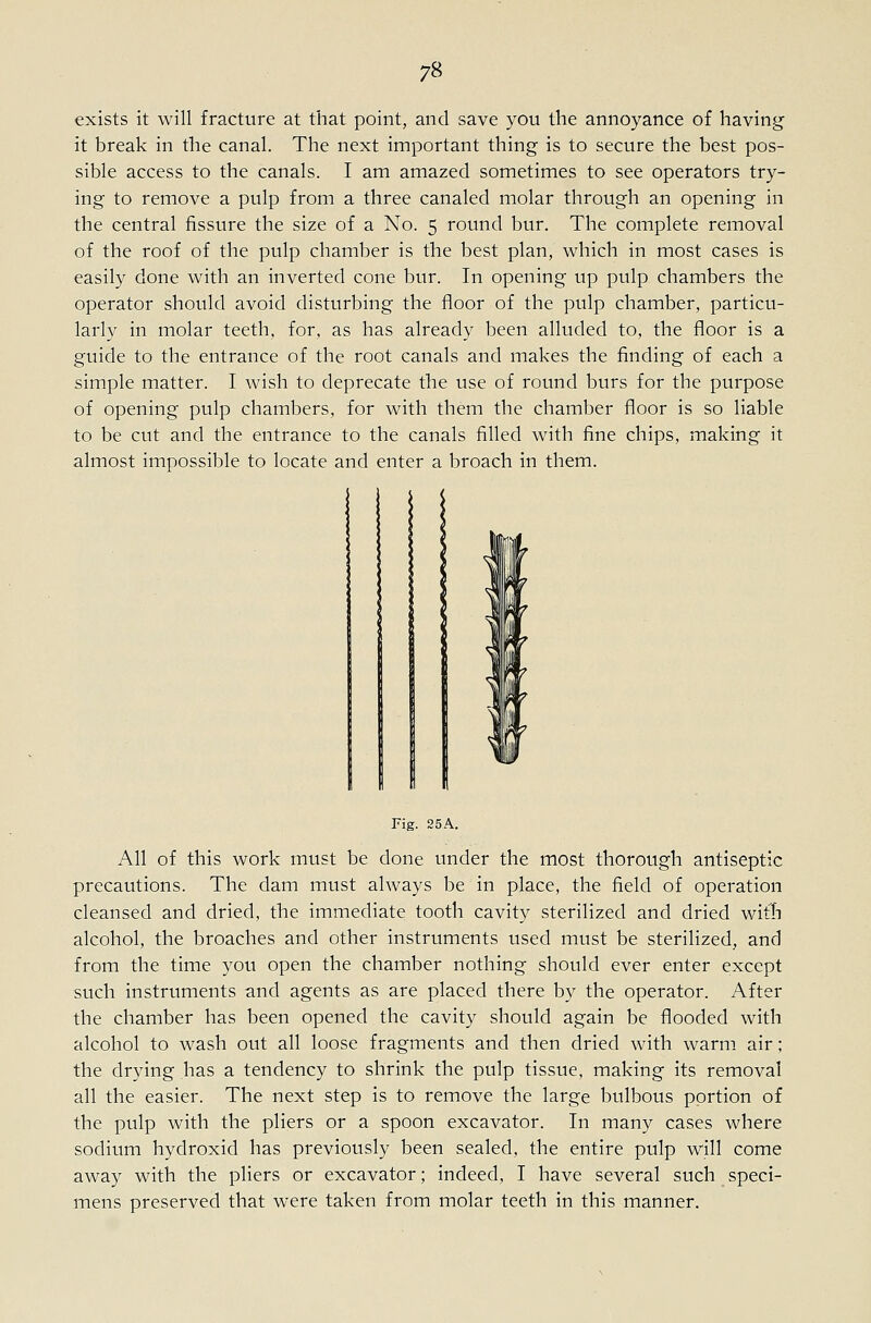 exists it will fracture at that point, and save you the annoyance of having it break in the canal. The next important thing is to secure the best pos- sible access to the canals. I am amazed sometimes to see operators try- ing to remove a pulp from a three canaled molar through an opening in the central fissure the size of a No. 5 round bur. The complete removal of the roof of the pulp chamber is the best plan, which in most cases is easily done with an inverted cone bur. In opening up pulp chambers the operator should avoid disturbing the floor of the pulp chamber, particu- larly in molar teeth, for, as has already been alluded to, the floor is a guide to the entrance of the root canals and makes the finding of each a simple matter. I wish to deprecate the use of round burs for the purpose of opening pulp chambers, for with them the chamber floor is so liable to be cut and the entrance to the canals filled with fine chips, making it almost impossible to locate and enter a broach in them. Fig. 25A. All of this work must be done under the most thorough antiseptic precautions. The dam must always be in place, the field of operation cleansed and dried, the immediate tooth cavity sterilized and dried with alcohol, the broaches and other instruments used must be sterilized, and from the time you open the chamber nothing should ever enter except such instruments and agents as are placed there by the operator. After the chamber has been opened the cavity should again be flooded with alcohol to wash out all loose fragments and then dried with warm air; the drying has a tendency to shrink the pulp tissue, making its removal all the easier. The next step is to remove the large bulbous portion of the pulp with the pliers or a spoon excavator. In many cases where sodium hydroxid has previously been sealed, the entire pulp will come away with the pliers or excavator; indeed, I have several such speci- mens preserved that were taken from molar teeth in this manner.
