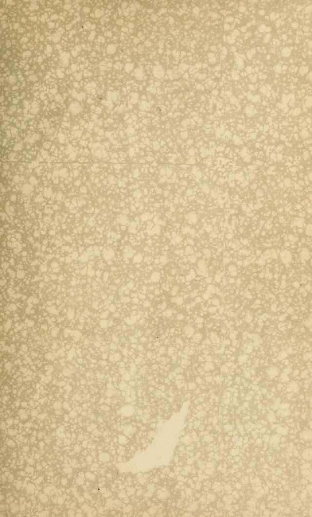 digitised image 3