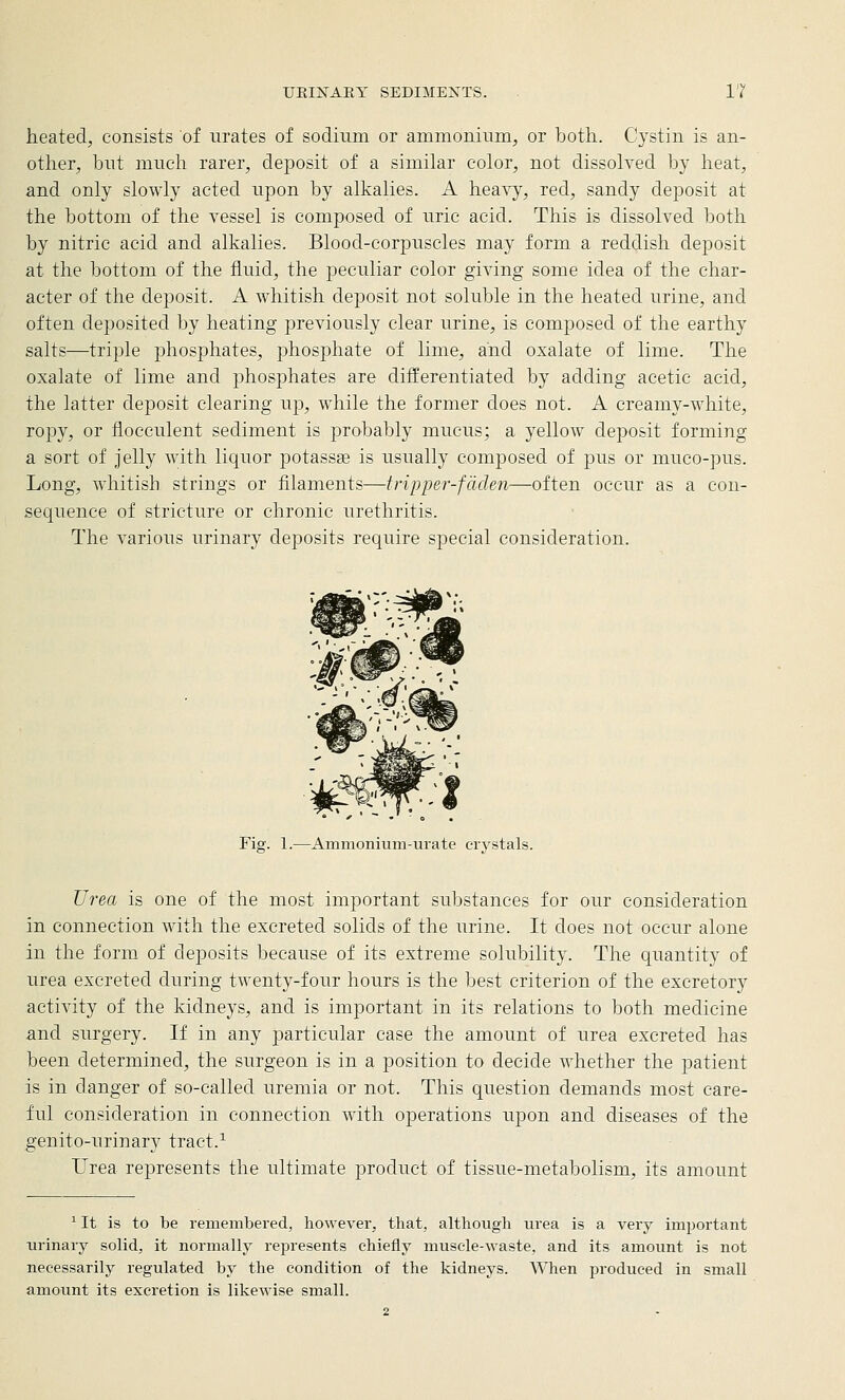 heated, consists of urates of sodinm or ammoniiim, or both. Cystin is an- other, but much rarer, deposit of a similar color, not dissolved by heat, and only slowly acted upon by alkalies. A heavy, red, sandy deposit at the bottom of the vessel is composed of uric acid. This is dissolved both by nitric acid and alkalies. Blood-corpuscles may form a reddish deposit at the bottom of the fluid, the peculiar color giving some idea of the char- acter of the deposit. A whitish deposit not soluble in the heated urine, and often deposited by heating previously clear urine, is composed of the earthy salts—triple phosphates, phosphate of lime, and oxalate of lime. The oxalate of lime and phosphates are difiEerentiated by adding acetic acid, the latter deposit clearing up, while the former does not. A creamy-white, ropy, or flocculent sediment is probably mucus; a yellow deposit forming a sort of jelly with liquor potassse is usually composed of pus or muco-pus. Long, whitish strings or filaments—tripper-fdden—often occur as a con- sequence of stricture or chronic urethritis. The various urinary deposits require special consideration. Fig. 1.—Ammonium-urate crystals. Ur^ea is one of the most important substances for our consideration in connection with the excreted solids of the urine. It does not occur alone in the form of deposits because of its extreme solubility. The quantity of urea excreted during twenty-four hours is the best criterion of the excretory activity of the kidneys, and is important in its relations to both medicine and surgery. If in any particular case the amount of urea excreted has been determined, the surgeon is in a position to decide whether the patient is in danger of so-called uremia or not. This question demands most care- ful consideration in connection with operations upon and diseases of the genito-urinary tract.^ Urea represents the ultimate product of tissue-metabolism, its amount ^ It is to be remembered, however, that, although urea is a very imjiortant lu'inary solid, it normally represents chiefly muscle-waste, and its amount is not necessarily regulated by the condition of the kidneys. When produced in small amount its excretion is likewise small.