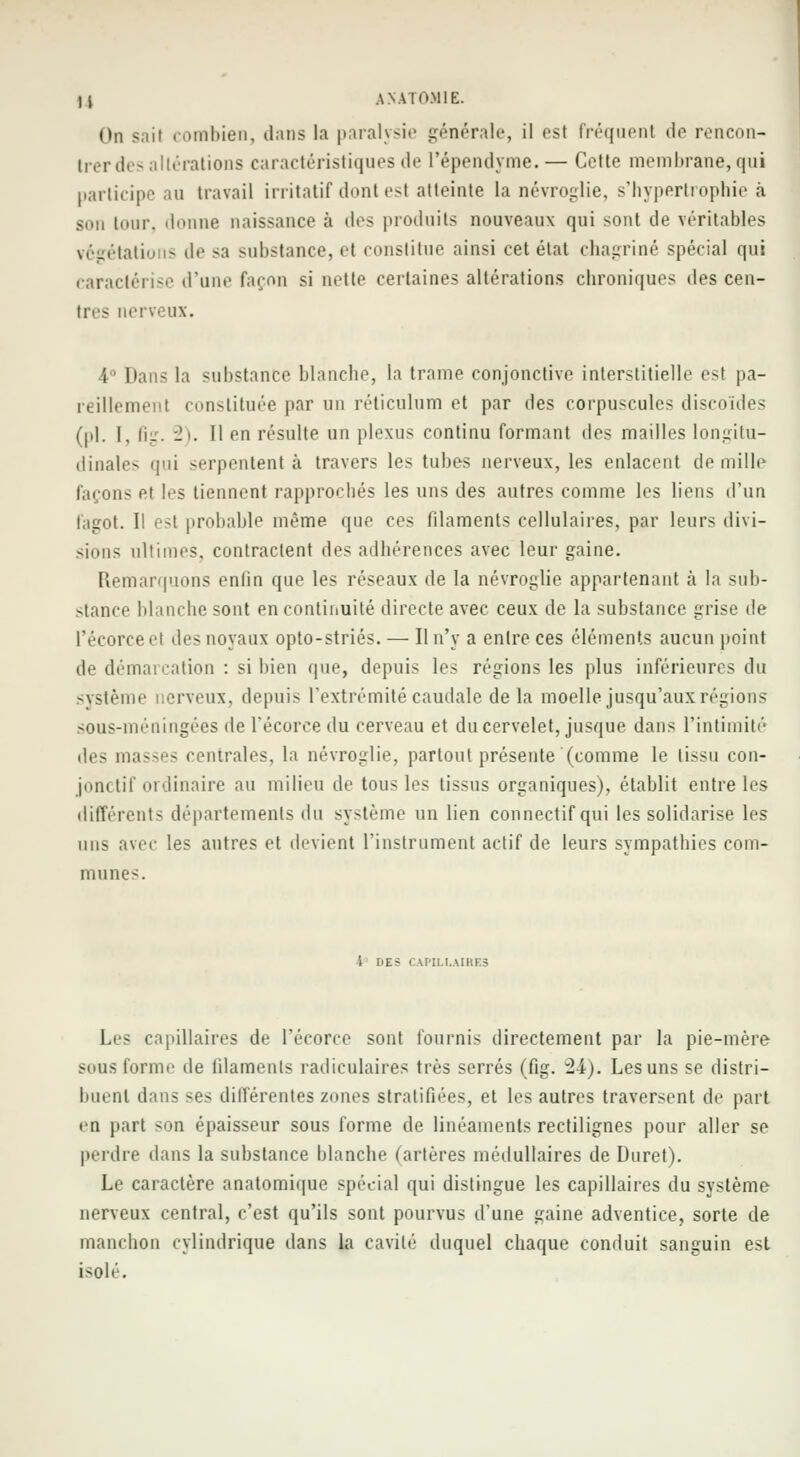 On sail combien, dans la paralysie générale, il esl fréquent de rencon- trer des altérations caractéristiques de l'épendyrae. — Cette membrane, qui participe au travail irritatif dont est atteinte la névroglie, s'hypertrophie à son tour, donne naissance à des produits nouveaux qui sont de véritables ialio is de sa substance, el constitue ainsi cet état chagriné spécial qui caractérise d'un»' façon si nette certaines altérations chroniques des cen- tres nerveux. 4° Dans la substance blanche, la trame conjonctive interstitielle est pa- reillement constituée par un réticulum et par des corpuscules discoïdes (pi. [, fig. 2). 11 en résulte un plexus continu formant des mailles longitu- dinales qui -erpentent à travers les tubes nerveux, les enlacent de mille laçons et les tiennent l'approchés les uns des autres comme les liens d'un fagot. Il esl probable même que ces filaments cellulaires, par leurs divi- sions ultimes, contractent des adhérences avec leur gaine. Remarquons enfin que les réseaux de la névroglie appartenant à la sub- stance blanche sont en continuité directe avec ceux de la substance grise de l'écorceet des noyaux opto-striés. — Il n'y a entre ces éléments aucun point de démarcation : si bien que, depuis les régions les plus inférieures du système nerveux, depuis l'extrémité caudale de la moelle jusqu'aux régions sous-méningées de l'écorce du cerveau et du cervelet, jusque dans l'intimité des masses centrales, la névroglie, partout présente (comme le tissu con- jonctif ordinaire au milieu de tous les tissus organiques), établit entre les différent- départements du système un lien connectif qui les solidarise les uns avec les autres et devient l'instrument actif de leurs sympathies com- munes. '» I>E5 CAPILLAIRES Les capillaires de l'écorce sont fournis directement par la pie-mère smis forme de filaments radiculaires très serrés (fig. 24). Les uns se distri- buent dans ses différentes zones stratifiées, et les autres traversent de part en part son épaisseur sous forme de linéaments rectilignes pour aller se perdre dans la substance blanche (artères médullaires de Duret). Le caractère anatomique spécial qui distingue les capillaires du système nerveux central, c'est qu'ils sont pourvus d'une gaine adventice, sorte de manchon cylindrique dans la cavité duquel chaque conduit sanguin est isolé.