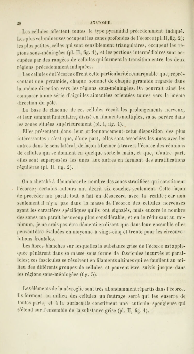 Les cellules affectent toutes le type pyramidal précédemment indiqué. Les plus volumineuses occupent les zones profondes de I'écorce (pi. II, fig. 2); les plus petites, celles qui sont sensiblement triangulaires, occupent les ré- gions sous-méningées (pi. II, fig. 1), et les portions intermédiaires sont oc- cupées par îles rangées de cellules qui forment la transition entre les deux régions précédemment indiquées. Les cellules de I'écorce offrent cette particularité remarquable que, repré- sentant une pyramide, chaque sommet de chaque pyramide regarde dans la même direction vers les régions sous-méningées. On pourrait ainsi les comparer à une série d'aiguilles aimantées orientées toutes vers la même direction du pôle. La base de chacune de ces cellules reçoit les prolongements nerveux, .1 leur sommet funiculaire, divisé en filaments multiples, va se perdre dans les zones situées supérieurement (pi. I, fig. 1). Elles présentent dans leur ordonnancement cette disposition des plus intéressantes : c'est que, d'une part, elles sont associées les unes avec les autres dans le sens latéral, de façon à former à travers I'écorce des réunions de cellules qui se donnent en quelque sorte la main, et que, d'autre part, elles sont superposées les unes aux autres en formant des stratifications régulières (pi. II, fig. 2). On a cherché à dénombrer le nombre des zones stratifiées qui constituent I'écorce; certains auteurs ont décrit six couches seulement. Cette façon de procéder me parait tout à fait en désaccord avec la réalité; car non seulement il n'y a pas dans la masse de I'écorce des cellules nerveuses ayant les caractères spécifiques qu'ils ont signalés, mais encore le nombre des zones me paraît beaucoup plus considérable, et en le réduisant au mi- nimum, je ne crois pas être démenti en disant que dans leur ensemble elles peuventètre évaluées en moyenne à vingt-cinq et trente pour les circonvo- lutions frontales. Les fibres blanches sur lesquelles la substance grise de I'écorce est appli- quée pénètrent dans sa masse sous forme de fascicules incurvés et paral- lèles; ces fascicules se résolvent en filamentsultimes qui se faufilent au mi- lieu des différents groupes de cellules et peuvent être suivis jusque dans les régions sous-méningées (û^. 5). Les éléments de la névroglie sont très abondammentrépartis dans I'écorce. Ils forment au milieu des cellules un feutrage serré qui les enserre de toutes parts, et à la surface ils constituent une cuticule spongieuse qui s'étend sur l'ensemble de la substance grise (pi. II, fig. 1).