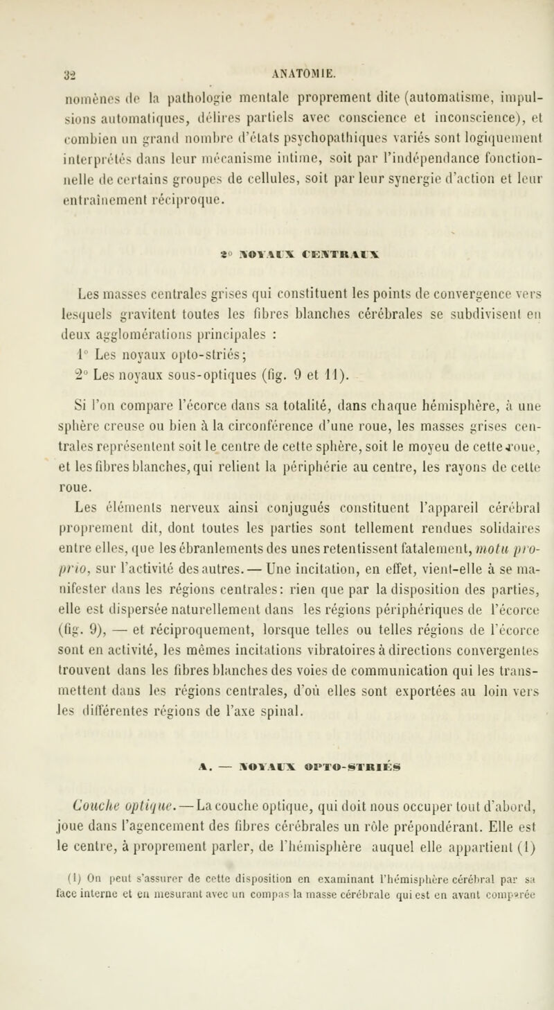 Qomènes de la pathologie mentale proprement dite (automatisme, impul- sions automatiques, délires partiels avec conscience et inconscience), et combien un grand nombre d'états psychopathiques variés sont logiquement interprétés dans leur mécanisme intime, soit par l'indépendance fonction- nelle de certains groupes de cellules, soit par leur synergie d'action et leur entraînement réciproque. «o \OÏAl\ (E.\TRilX Les masses centrales grises qui constituent les points de convergence vers lesquels gravitent toutes les fibres blanches cérébrales se subdivisent en deux agglomérations principales : 1 Les noyaux opto-striés; ■2 Les noyaux sous-optiques (fig. 9 et 14). Si l'on compare l'écorce dans sa totalité, dans chaque hémisphère, à une sphère creuse ou bien à la circonférence d'une roue, les masses grises cen- trales représentent soit le centre de cette sphère, soit le moyeu de cette .roue, et les fibres blanches, qui relient la périphérie au centre, les rayons de cette roue. Les éléments nerveux ainsi conjugués constituent l'appareil cérébral proprement dit, dont toutes les parties sont tellement rendues solidaires entre elles, que les ébranlements des unes retentissent fatalement, motu pro- prio, sur l'activité des autres. — Une incitation, en effet, vient-elle à se ma- nifester dans les régions centrales: rien que par la disposition des parties, elle est dispersée naturellement dans les régions périphériques de l'écorce (fig. 9), — et réciproquement, lorsque telles ou telles régions de l'écorce sont en activité, les mêmes incitations vibratoires à directions convergentes trouvent dans les fibres blanches des voies de communication qui les trans- mettent dans les régions centrales, d'où elles sont exportées au loin vers les différentes régions de l'axe spinal. A. — \OVtl\ OPTO-STRIÉS Conclu1 optique. — La couche optique, qui doit nous occuper tout d'abord, joue dans l'agencement des fibres cérébrales un rôle prépondérant. Elle est le centre, à proprement parler, de l'hémisphère auquel elle appartient (1) (1) On peut s'assurer de cotte disposition en examinant L'hémisphère cérébral par sa l'ace interne et en mesurant avec un compas la masse cérébrale qui est en avant comparée