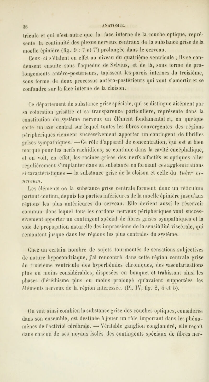 tricule et qui n'est autre que la lace interne de la couche optique, repré- sente la continuité des plexus nerveux centraux de la substance grise de la moelle épinière (fig. 0 : 7 et 7') prolongée dans le cerveau. i.iMiv ci s'étalent en effet au niveau du quatrième ventricule ; ils se con- densent ensuite sous L'aqueduc de Sylvius, et de là, sous forme de pro- longements antéro-postérieurs, tapissent les parois internes du troisième, sous forme de deux processus antéro-postérieurs qui vont s'amortir et se confondre sur la face interne de la cloison. Ce département de substance grise spéciale, qui se distingue aisément par sa coloration grisâtre et sa transparence particulière, représente clans la constitution du système nerveux un élément fondamental et, en quelque sorte un axe central sur lequel toutes les fibres convergentes des régions périphériques viennent successivement apporter un contingent de fibrilles grises sympathiques. —Ce rôle d'appareil de concentration, qui est si bien marqué pour les nerfs rachidiens, se continue dans la cavité encéphalique, et on voit, en effet, les racines grises des nerfs olfactifs et optiques aller régulièrement s'implanter clans sa substance en formant ces agglomérations si caractéristiques — la substance grise de la cloison et celle du luber ci- nereum. Les éléments ue la substance grise centrale forment donc un réticulum partout continu, depuis les parties inférieures de la moelle épinière jusqu'aux régions les plus antérieures du cerveau. Elle devient aussi le réservoir commun clans lequel tous les cordons nerveux périphériques vont succes- sivement apporter un contingent spécial de fibres grises sympathiques et la voie de propagation naturelle des impressions de la sensibilité viscérale, qui remontent jusque dans les régions les plus centrales du système. Chez un certain nombre de sujets tourmentés de sensations subjectives de nature hypocondriaque, j'ai rencontré clans cette région centrale grise du troisième ventricule des hyperhéinies chroniques, des vascularisations plus ou moins considérables, disposées en bouquet et trahissant ainsi les phases d'éréthisme plus ou moins prolongé qu'avaient supportées les éléments nerveux de la région intéressée. (PI. IV, fig. 2, 4 et 5). On voit ainsi combien la substance grise des couches optiques, considérée dans son ensemble, est destinée à jouer un rôle important clans les phéno- mènes de l'activité cérébrale. — Véritable ganglion congloméré, elle reçoit dans chacun de ses noyaux isolés des contingents spéciaux de fibres ner-