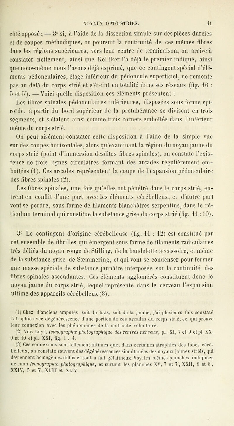 côté opposé ; — 3° si, à l'aide de la dissection simple sur des pièces durcies et de coupes méthodiques, on poursuit la continuité de ces mêmes fibres dans les régions supérieures, vers leur centre de terminaison, on arrive à constater nettement, ainsi que Kolliker l'a déjà le premier indiqué, ainsi que nous-même nous l'avons déjà exprimé, que ce contingent spécial d'élé- ments pédonculaires, étage inférieur du pédoncule superficiel, ne remonte pas au delà du corps strié et s'éteint en totalité dans ses réseaux (fig. 16 : 5 et o). —Voici quelle disposition ces éléments présentent : Les fibres spinales pédonculaires inférieures, disposées sous forme spi- roïde, à partir du bord supérieur de la protubérance se divisent en trois segments, et s'étalent ainsi comme trois cornets emboîtés dans l'intérieur même du corps strié. On peut aisément constater cette disposition à l'aide de la simple vue sur des coupes horizontales, alors qu'examinant la région du noyau jaune du corps strié (point d'immersion desdites fibres spinales), on constate l'exis- tence de trois lignes circulaires formant des arcades régulièrement em- boîtées (1). Ces arcades représentent la coupe de l'expansion pédonculaire des fibres spinales (2). Les fibres spinales, une fois qu'elles ont pénétré dans le corps strié, en- trent en conflit d'une part avec les éléments cérébelleux, et d'autre part vont se perdre, sous forme de filaments blanchâtres serpentins, dans le ré- ticulum terminal qui constitue la substance grise du corps strié (fig. 11: 10). 3° Le contingent d'origine cérébelleuse (fig. 11 : 12) est constitué par cet ensemble de fibrilles qui émergent sous forme de filaments radiculaires très déliés du noyau rouge de Stilling, de la bandelette accessoire, et même de la substance grise de Scemmering, et qui vont se condenser pour former une masse spéciale de substance jaunâtre interposée sur la continuité des fibres spinales ascendantes. Ces éléments agglomérés constituent donc le noyau jaune du corps strié, lequel représente dans le cerveau l'expansion ultime des appareils cérébelleux (3). (1) Chez d'anciens amputés soit du bras, soit de la jambe, j'ai plusieurs fois constaté l'atrophie avec dégénérescence d'une portion de ces arcades du corps strié, ce qui prouve leur connexion avec les phénomènes de la motricité volontaire. (2) Yoy. Luys, Iconographie photographique des centres nerveux, pi. XI, 7 et 9 et pi. XX, 9 et 10 et pi. XXI, fig. 1 : i. (3) Ces connexions sont tellement intimes que, dans certaines atrophies des lobes céré- belleux, on constate souvent des dégénérescences simultanées des noyaux jaunes striés, qui deviennent homogènes, diffus et tout à fait gélatineux. Voy. les mêmes planches indiquées de mon Iconographie photographique, et surtout les planches XV, 7 et 7', XXII, 8 et 8',