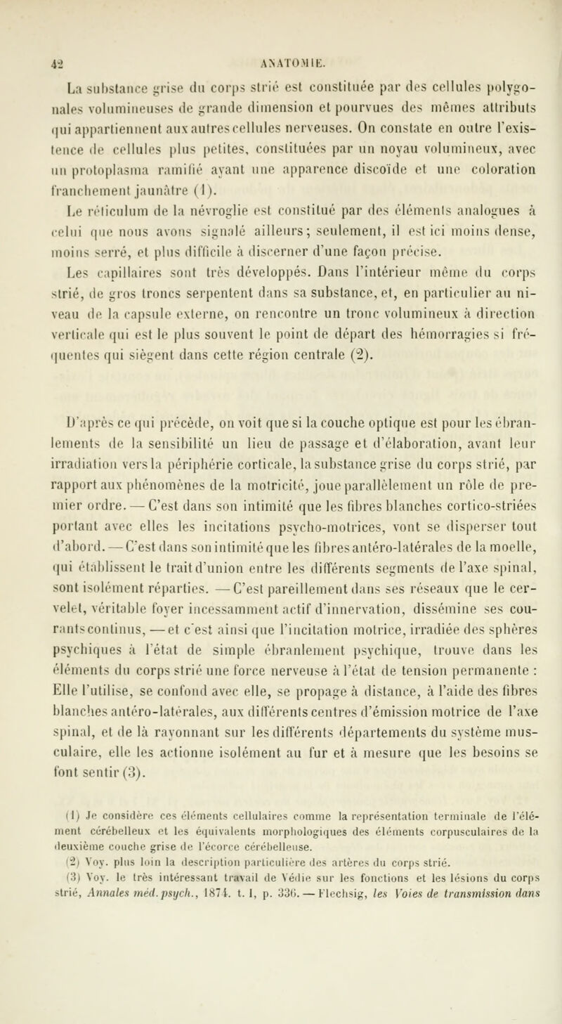 ii WUOMIK. La substance grise du corps strié est constituée par des cellules polygo- nales volumineuses de grande dimension et pourvues des mêmes attributs qui appartiennent aux autres cellules nerveuses. On constate en outre l'exis- tence de cellules plus petites, constituées par un noyau volumineux, avec hn protoplasma ramifié ayant une apparence discoïde et une coloration franchement jaunâtre ( I ). Le réticulura de la névroglie est constitué par (\o> éléments analogues à celui que nous avons signalé ailleurs; seulement, il est ici moins dense, moins serré, et plus difficile à discerner d'une façon précise. Les capillaires sont très développés. Dans l'intérieur même du corps strié, de gros troncs serpentent dans sa substance, et, en particulier au ni- veau de la capsule externe, on rencontre un tronc volumineux à direction verticale qui est le plus souvent le point de départ des hémorragies si fré- quentes qui siègent dans cette région centrale (2). D'après ce qui précède, on voit que si la couche optique est pour les ébran- lements de la sensibilité un lieu de passage et d'élaboration, avant leur irradiation vers la périphérie corticale, la substance grise du corps strié, par rapport aux phénomènes de la motricité, joue parallèlement un rôle de pre- mier ordre. — C'est dans son intimité que les fibres blanches cortico-striées portant avec elles les incitations psycho-motrices, vont se disperser tout d'abord. — C'est dans son intimité que les fibres antéro-latérales de la moelle, qui établissent le trait d'union entre les différents segments de l'axe spinal, sont isolément réparties. —C'est pareillement dans ses réseaux que le cer- velet, véritable foyer incessamment actif d'innervation, dissémine ses cou- rants continus, — et c'est ainsi que l'incitation motrice, irradiée des sphères psychiques à l'état de simple ébranlement psychique, trouve dans les éléments du corps strié une force nerveuse à l'état de tension permanente : Elle l'utilise, se confond avec elle, se propage a distance, à l'aide des fibres blanches antéro-latérales, aux différents centres d'émission motrice de l'axe spinal, et de là rayonnant sur les différents départements du système mus- culaire, elle les actionne isolément au fur et à mesure que les besoins se font sentir (3). 111 Je considère ces éléments cellulaires comme la représentation terminale de l'élé- ment cérébelleux et les équivalents morphologiques des éléments corpusculaires de la deuxième couche grise de l'écorce cérébelleuse. ■1 Voy. plus loin la description particulière des artères du corps strié. Voy. le très intéressant travail de Védie sur les fonctions et les lésions du corps strié, Annales méd.psych., 187 i. t. 1. p. 336. — Flechsig, les Voies de transmission dans