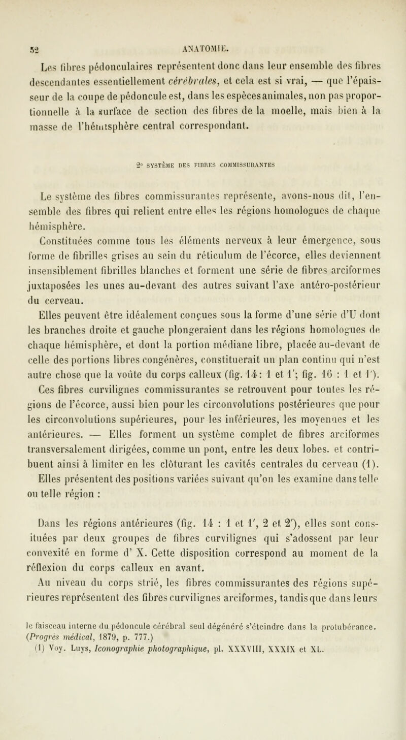 Les libres pédonculaires représentent donc dans leur ensemble des fibres descendantes essentiellement cérébrales, et cela est si vrai, — que l'épais- seur de la coupe de pédoncule est, dans les espèces animales, non pas propor- tionnelle «à la surface de section des libres de la moelle, mais bien à la masse de l'hémisphère central correspondant. 2° SYSTÈME DES FIBRES COMMISSURANTES Le système des fibres commissurantes représente, avons-nous dit, l'en- semble des fibres qui relient entre elles les régions homologues de chaque hémisphère. Constituées comme tous les éléments nerveux à leur émergence, sous forme de fibrilles grises au sein du réticulum de l'écorce, elles deviennent insensiblement fibrilles blanches et forment une série de fibres arciformes juxtaposées les unes au-devant des autres suivant l'axe antéro-postérieur du cerveau. Elles peuvent être idéalement conçues sous la forme d'une série d'U dont les brandies droite et gauche plongeraient dans les régions homologues de chaque hémisphère, et dont la portion médiane libre, placée au-devant de celle des portions libres congénères, constituerait un plan continu qui n'est autre chose que la voûte du corps calleux (fig. 14: 1 et 1'; fig. 16 : 1 et I). Ces fibres curvilignes commissurantes se retrouvent pour toutes les ré- gions de l'écorce, aussi bien pour les circonvolutions postérieures que pour les circonvolutions supérieures, pour les inférieures, les moyennes et les antérieures. — Elles forment un système complet de fibres arciformes transversalement dirigées, comme un pont, entre les deux lobes, et contri- buent ainsi à limiter en les clôturant les cavités centrales du cerveau (1). Elles présentent des positions variées suivant qu'on les examine dans telle ou telle région : Dans les régions antérieures (fig. 14 : 1 et 1', 2 et 2'), elles sont cons- ituées par deux groupes de fibres curvilignes qui s'adossent par leur convexité en forme d' X. Cette disposition correspond au moment de la réflexion du corps calleux en avant. Au niveau du corps strié, les fibres commissurantes des régions supé- rieures représentent des fibres curvilignes arciformes, tandisque dans leurs le faisceau interne du pédoncule cérébral seul dégénéré s'éteindre dans la protubérance. (Progrès médical, 1879, p. 777.) il) Voy. Luys, Iconographie photographique, pi. XXXVIII, XXXIX et XL.