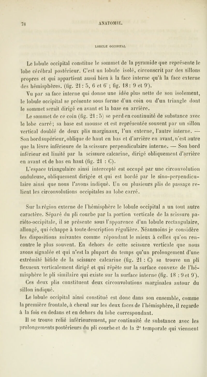 LOBULE OCCIPITAL Le lobule occipital constitue le sommet de la pyramide que représente le lobe cérébral postérieur. C'est un lobule isolé, circonscrit par des sillons propres et qui appartient aussi bien à la face interne qu'à la face externe des hémisphères, (fig. 21 : 5, 6 et 6' ; fig. 18: 0 et 0'). Vu par sa face interne qui donne une idée plus nette de son isolement, le lobule occipital se présente sous forme d'un coin ou d'un triangle dont le sommet serait dirigé en avant et la base en arrière. Le sommet de ce coin (fig. 21 : 5) se perd en continuité de substance avec le lobe carré; sa base est mousse et est représentée souvent par un sillon vertical doublé de deux plis marginaux, l'un externe, l'autre interne. — Son bord supérieur, oblique de liant en bas et d'arrière en avant, n'est autre que la lèvre inférieure île la scissure perpendiculaire interne. — Son bord inférieur est limité par la scissure calcarine, dirigé obliquement d'arrière en avant et de bas en haut (fig. 21 : C). L'espace triangulaire ainsi intercepté est occupé par une circonvolution onduleuse, obliquement dirigée et qui est bordé par le sino-perpendicu- laire ainsi que nous l'avons indiqué. Un ou plusieurs plis de passage re- lient les circonvolutions occipitales au lobe carré. Sur la région externe de l'hémisphère le lobule occipital a un tout autre caractère. Séparé du pli courbe par la portion verticale de la scissure pa- riéto-occipitale, il se présente sous l'apparence d'un lobule rectangulaire, allongé, qui échappe à toute description régulière. Néanmoins je considère les dispositions suivantes comme répondant le mieux à celles qu'on ren- contre le plus souvent. En dehors de cette scissure verticale que nous avons signalée et qui n'est la plupart du temps qu'un prolongement d'une extrémité bifide de la scissure calcarine (fig. 21 : C) se trouve un pli flexueux verticalement dirigé et qui répète sur la surface convexe de l'hé- misphère le pli similaire qui existe sur la surface interne (fig. 18 : 9 et 9'). Ces deux plis constituent deux circonvolutions marginales autour du sillon indiqué. Le lobule occipital ainsi constitué est donc dans son ensemble, comme la première frontale, à cheval sur les deux faces de l'hémisphère, il regarde à la fois en dedans et en dehors du lobe correspondant. 11 se trouve relié inférieurement, par continuité de substance avec les prolongements postérieurs du pli courbeet de la 2e temporale qui viennent