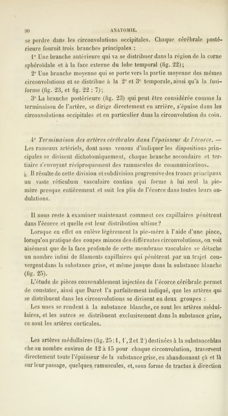 1)0 A NATO.MIE. se perdre dans les circonvolutions occipitales. Chaque cérébrale posté- rieure fournit trois branches principales : Ie Une branche antérieure qui va se distribuer dans la région de la corne sphéroïdale et à la face externe du lobe temporal (lig. 22); 2 Une branche moyenne qui se porte vers la partie moyenne des mêmes circonvolutions et se distribue à la 2e et 3e temporale, ainsi qu'à la i'usi- forme(fig. 23, et 6g. -2-2 : 7); 3e La branche postérieure (fig. 23) qui peut être considérée comme la terminaison de l'artère, se dirige directement en arrière, s'épuise dans les circonvolutions occipitales et en particulier dans la circonvolution du coin. 4° Terminaison des artères cérébrales dans l'épaisseur de l'écorce. — Les rameaux artériels, dont nous venons d'indiquer les dispositions prin- cipales se divisent dichotomiquement, chaque branche secondaire et ter- tiaire sYnvoyant réciproquement des ramuscules de communications. 11 résulte de cette division et subdivision progressive des troncs principaux un vaste réticulum vasculaire continu qui forme à lui seul la pie- mère presque entièrement et suit les plis de l'écorce dans toutes leurs on- dulations. Il nous reste à examiner maintenant comment ces capillaires pénètrent dans l'écorce et quelle est leur distribution ultime? Lorsque en effet on enlève légèrement la pie-mère à l'aide d'une pince, lorsqu'on pratique des coupes minces des différentes circonvolutions, on voit aisément que de la face profonde de cette membrane vasculaire se détache un nombre infini de filaments capillaires qui pénètrent par un trajet con- vergent dans la substance grise, et même jusque dans la substance blanche (fig. 25). L'étude de pièces convenablement injectées de l'écorce cérébrale permet de constater, ainsi que Duret l'a parfaitement indiqué, que les artères qui se distribuent dans les circonvolutions se divisent en deux groupes : Les unes se rendent à la substance blanche, ce sont les artères médul- laires, et les autres se distribuent exclusivement dans la substance grise, ce sont les artères corticales. Les artères médullaires (fig. 25:1,1,2 et 2 ) destinées à la substanceblan cheau nombre environ de 12 à 15 pour chaque circonvolution, traversent directement toute l'épaisseur de la substance grise, en abandonnant ça et là sur leur passage, quelques ramuscules, et, sous forme de tractus à direction