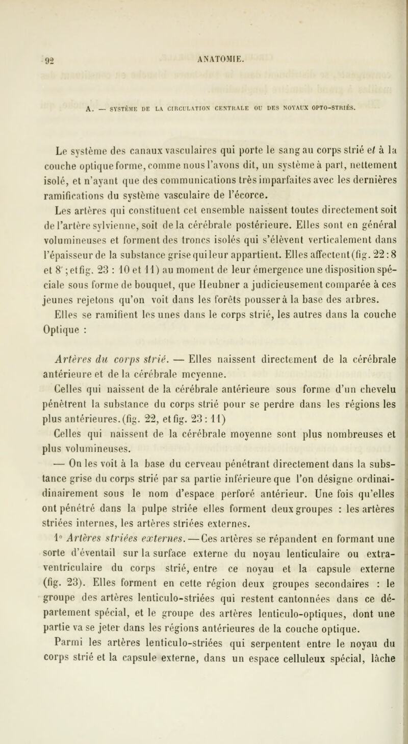 SYSTÈME DE LA CIRCri.ATION CENTRALE OU DES NOYAUX OPTO-STHIES. Le système dos canaux vasculaires qui porte le sang au corps strié et à la couche optique forme, comme nous l'avons dit, un système à pari, nettement isolé, et n'ayant que des communications très imparfaites avec les dernières ramifications du système vasculaire de l'écorce. Les artères qui constituent cet ensemble naissent toutes directement soit de l'artère syl vienne, soil delà cérébrale postérieure. Elles sont en général volumineuses et forment des troncs isolés qui s'élèvent verticalement dans l'épaisseur de la substance grise qui leur appartient. Elles affectent (fig. 22:8 et 8' ; et fig. 23 : 10 et 11) au moment de leur émergence une disposition spé- ciale sous forme de bouquet, que Heubner a judicieusement comparée à ces jeunes rejetons qu'on voit dans les forêts pousser à la base des arbres. Elles se ramifient les unes dans le corps strié, les autres dans la couche Optique : Artères du corps strié. — Elles naissent directement de la cérébrale antérieure et de la cérébrale moyenne. Celles qui naissent de la cérébrale antérieure sous forme d'un chevelu pénètrent la substance du corps strié pour se perdre dans les régions les plus antérieures, (fig. 22, et fig. 23:11) Celles qui naissent de la cérébrale moyenne sont plus nombreuses et plus volumineuses. — On les voit à la base du cerveau pénétrant directement dans la subs- tance grise du corps strié par sa partie inférieure que l'on désigne ordinai- dinairement sous le nom d'espace perforé antérieur. Une fois qu'elles ont pénétré dans la pulpe striée elles forment deux groupes : les artères striées internes, les artères striées externes. 1° Artères striées externes.—Ces artères se répandent en formant une sorte d'éventail sur la surface externe du noyau lenticulaire ou extra- ventriculaire du corps strié, entre ce noyau et la capsule externe (fig. 23). Elles forment en cette région deux groupes secondaires : le groupe des artères lenticulo-striées qui restent cantonnées dans ce dé- partement spécial, et le groupe des artères lenticulo-optiques, dont une partie va se jeter dans les régions antérieures de la couche optique. Parmi les artères lenticulo-striées qui serpentent entre le noyau du corps strié et la capsule externe, dans un espace celluleux spécial, lâche