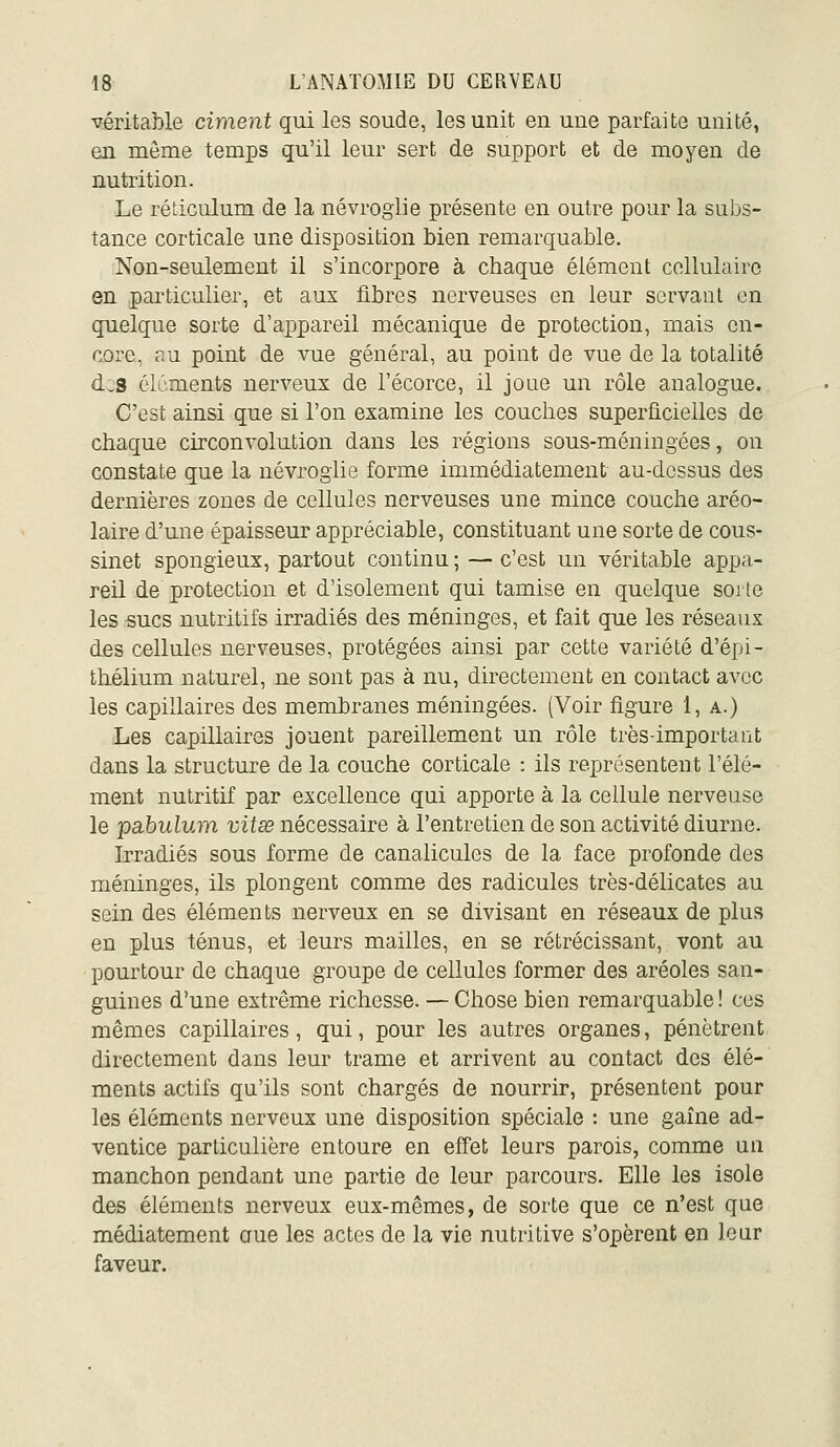 Aséritable ciment qui les soude, les unit en une pai-faite unité, en même temps qu'il leur sert de support et de moyen de nutrition. Le réticulum de la névroglie présente en outre pour la subs- tance corticale une disposition bien remarquable. Non-seulement il s'incorpore à chaque élément collulaire en (Particulier, et aux fibres nerveuses en leur servant en quelque sorte d'a^Dpareil mécanique de protection, mais en- core, au point de vue général, au point de vue de la totalité dos éléments nerveux de l'écorce, il joue un rôle analogue. C'est ainsi que si l'on examine les couches superficielles de chaque circonvolution dans les régions sous-méningées, on constate que la névroglie forme immédiatement au-dessus des dernières zones de cellules nerveuses une mince couche aréo- laire d'une épaisseur appréciable, constituant une sorte de cous- sinet spongieux, partout continu ; — c'est un véritable appa- reil de protection et d'isolement qui tamise en quelque sorte les sucs nutritifs irradiés des méninges, et fait que les réseaux des cellules nerveuses, protégées ainsi par cette variété d'épi- thélium naturel, ne sont pas à nu, directement en contact avec les capillaires des membranes méningées. (Voir figure 1, a.) Les capillaires jouent pareillement un rôle très-important dans la structure de la couche corticale : ils représentent l'élé- ment nutritif par excellence qui apporte à la cellule nerveuse le pabulum vitse nécessaire à l'entretien de son a.ctivité diurne. Irradiés sous forme de canalicules de la face profonde des méninges, ils plongent comme des radicules très-délicates au sein des éléments nerveux en se divisant en réseaux de plus en plus ténus, et leurs mailles, en se rétrécissant, vont au pourtour de chaque groupe de cellules former des aréoles san- guines d'une extrême richesse. — Chose bien remarquable ! ces mêmes capillaires, qui, pour les autres organes, pénètrent directement dans leur trame et arrivent au contact des élé- ments actifs qu'ils sont chargés de nourrir, présentent pour les éléments nerveux une disposition spéciale : une gaine ad- ventice particulière entoure en effet leurs parois, comme un manchon pendant une partie de leur parcours. Elle les isole des éléments nerveux eux-mêmes, de sorte que ce n'est que médiatement aue les actes de la vie nutritive s'opèrent en leur faveur.