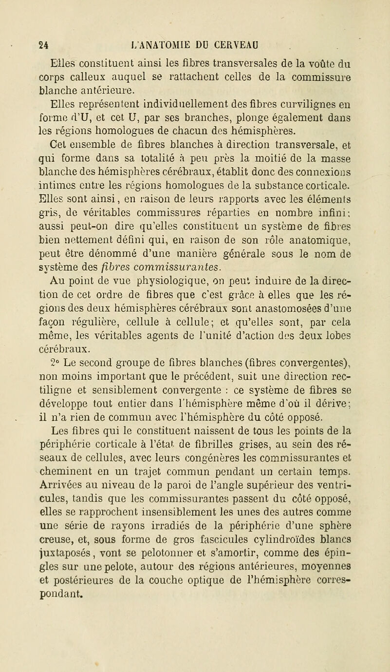 Elles constituent ainsi les fibres transversales de la voûte du corps calleux auquel se rattachent celles de la commissure blanche antérieure. Elles représentent individuellement des fibres curvilignes en forme d'U, et cet U, par ses branches, plonge également dans les régions homologues de chacun des hémisphères. Cet ensemble de fibres blanches à direction transversale, et qui forme dans sa totalité à peu près la moitié de la masse blanche des hémisphères cérébraux, établit donc des connexions intimes entre les régions homologues de la substance corticale. Elles sont ainsi, en i-aison de leurs rapports avec les éléments gris, de véritables commissures réparties en nombre infini; aussi peut-on dire qu'elles constituent un système de fibres bien nettement défini qui, en raison de son rôle anatomique, peut être dénommé d'une manière générale sous le nom de système des fibres commissursintes. Au point de vue physiologique, on peut indun^e de la direc- tion de cet ordre de fibres que c'est gi'âco h elles que les ré- gions des deux hémisphères cérébraux sont anastomosées d'une façon régulière, cellule à cellule; et qu'elles sont, par cela même, les véritables agents de l'unité d'action d(.'s deux lobes cérébraux. 2° Le second groupe de fibres blanches (fibres convergentes), non moins important que le précédent, suit une direction rec- tiligne et sensiblement convergente : ce système de fibres se développe tout entier dans l'hémisphère même d'où il dérive; il n'a rien de commun avec l'hémisphère du côté opposé. Les fibres qui le constituent naissent de tous les points de la périphérie corticale à l'état de fibrilles grises, au sein des ré- seaux de cellules, avec leurs congénères les commissurantes et cheminent en un trajet commun pendant un certain temps. Arrivées au niveau de la paroi de l'angle supérieur des ventri- cules, tandis que les commissurantes passent du côté opposé, elles se rapprochent insensiblement les unes des autres comme une série de rayons irradiés de la périphérie d'une sphère creuse, et, sous forme de gros fascicules cylindroïdes blancs juxtaposés, vont se pelotonner et s'amortir, comme des épin- gles sur une pelote, autour des régions antérieures, moyennes et postérieures de la couche optique de l'hémisphère corres- pondant.