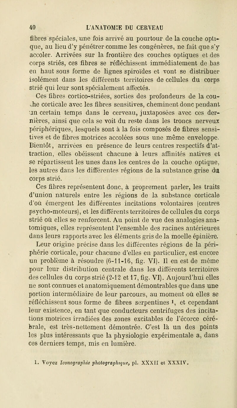 fibres spéciales, une fois arrivé au pourtour de la couche opti- que, au lieu d'y pénétrer comme les congénères, ne fait que s'y accoler. Arrivées sur la frontière des couches optiques et des corps striés, ces fibres se réfléchissent immédiatement de bas en haut sous forme de lignes spiroïdes et vont se distribuer isolément dans les différents territoires de cellules du corps strié qui leur sont spécialement affectés. Ces fibres cortico-striées, sorties des profondeurs de la cou- che corticale avec les fibres sensitives, cheminent donc pendant un certain temps dans le cerveau, juxtaposées avec ces der- nières, ainsi que cela se voit du reste dans les troncs nerveux périphériques, lesquels sont à la fois composés de fibres sensi- tives et de fibres motrices accolées sous une même enveloppe. Bientôt, arrivées en présence de leurs centres respectifs d'at- traction, elles obéissent chacune à leurs affinités natives et se répartissent les unes dans les centres de la couche optique, les autres dans les différentes régions de la substance grise du corps strié. Ces fibres représentent donc, à proprement parler, les traits d'union naturels entre les régions de la substance corticale d'où émergent les différentes incitations volontaires (centres psycho-moteurs), et les différents territoires de cellules du corps strié où elles se renforcent. Au point de vue des analogies ana- tomiques, elles représentent l'ensemble des racines antérieures dans leurs rapports avec les éléments gris de la moelle épinière. Leur origine précise dans les différentes régions de la péri- phérie corticale, pour chacune d'elles en particulier, est encore un problème à résoudre (6-11-16, fig. VI). Il en est de même pour leur distribution centrale dans les différents territoires des cellules du corps strié (2-12 et 17, fig. VI). Aujourd'hui elles ne sont connues et anatomiquement démontrables que dans une portion intermédiaire de leur parcours, au moment où elles se réfléchissent sous forme de fibres serpentines ï, et cependant leur existence, en tant que conducteurs centrifuges des incita- tions motrices irradiées des zones excitables de l'écorce céré- brale, est très-nettement démontrée. C'est là un des points les plus intéressants que la physiologie expérimentale a, dans ces derniers temps, mis en lumière. 1. Voyez Iconographie photographique, pi. XXXII et XXXIV.