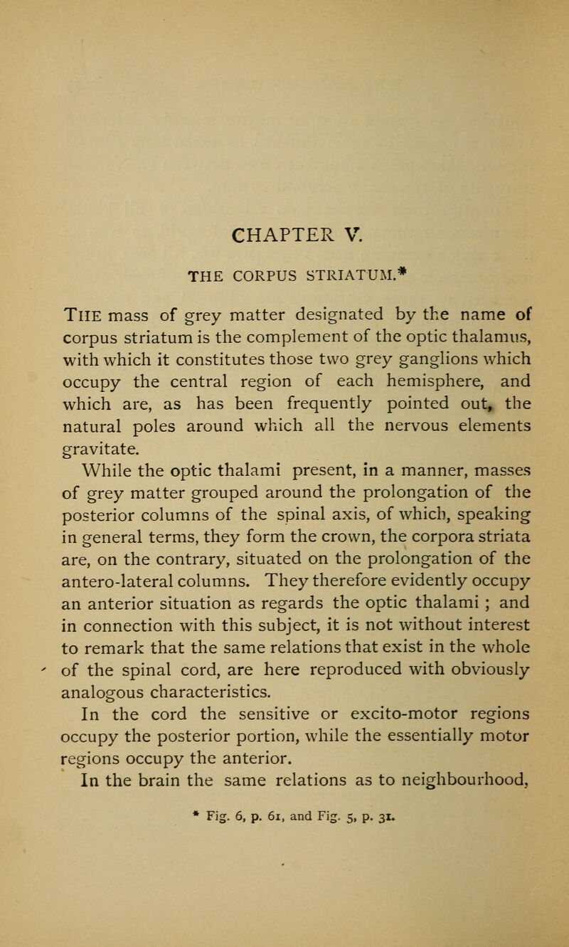 CHAPTER V. THE CORPUS STRIATUM.* The mass of grey matter designated by the name of corpus striatum is the complement of the optic thalamus, with which it constitutes those two grey ganglions which occupy the central region of each hemisphere, and which are, as has been frequently pointed out, the natural poles around which all the nervous elements gravitate. While the optic thalami present, in a manner, masses of grey matter grouped around the prolongation of the posterior columns of the spinal axis, of which, speaking in general terms, they form the crown, the corpora striata are, on the contrary, situated on the prolongation of the antero-lateral columns. They therefore evidently occupy an anterior situation as regards the optic thalami ; and in connection with this subject, it is not without interest to remark that the same relations that exist in the whole of the spinal cord, are here reproduced with obviously analogous characteristics. In the cord the sensitive or excito-motor regions occupy the posterior portion, while the essentially motor regions occupy the anterior. In the brain the same relations as to neighbourhood, * Fig. 6, p. 6i, and Fig. 5, p. 31.