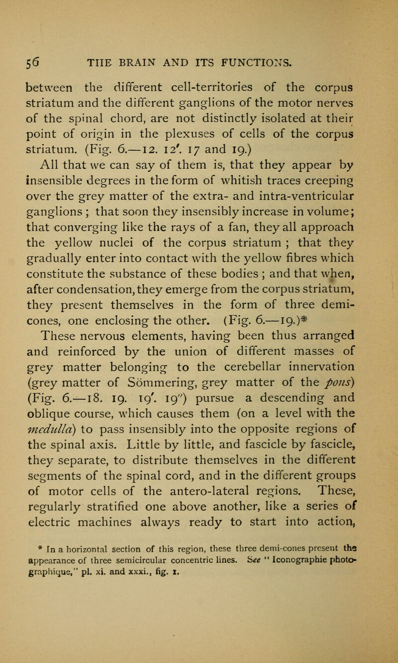 between the difTerent cell-territories of the corpus striatum and the different ganglions of the motor nerves of the spinal chord, are not distinctly isolated at their point of origin in the plexuses of cells of the corpus striatum. (Fig. 6.—12. 12'. 17 and 19.) All that we can say of them is, that they appear by insensible degrees in the form of whitish traces creeping over the grey matter of the extra- and intra-ventricular ganglions ; that soon they insensibly increase in volume; that converging like the rays of a fan, they all approach the yellow nuclei of the corpus striatum ; that they gradually enter into contact with the yellow fibres which constitute the substance of these bodies ; and that when, after condensation, they emerge from the corpus striatum, they present themselves in the form of three demi- cones, one enclosing the other. (Fig. 6.—19.)* These nervous elements, having been thus arranged and reinforced by the union of different masses of grey matter belonging to the cerebellar innervation (grey matter of Sommering, grey matter of the po/is) (Fig. 6.—18. 19. T9'. 19) pursue a descending and oblique course, which causes them (on a level with the medulla) to pass insensibly into the opposite regions of the spinal axis. Little by little, and fascicle by fascicle, they separate, to distribute themselves in the different segments of the spinal cord, and in the different groups of motor cells of the antero-lateral regions. These, regularly stratified one above another, like a series of electric machines always ready to start into action, * In a horizontal section of this region, these three demi-cones present the appearance of three semicircular concentric lines, '^ee  Iconographie i>hoto-