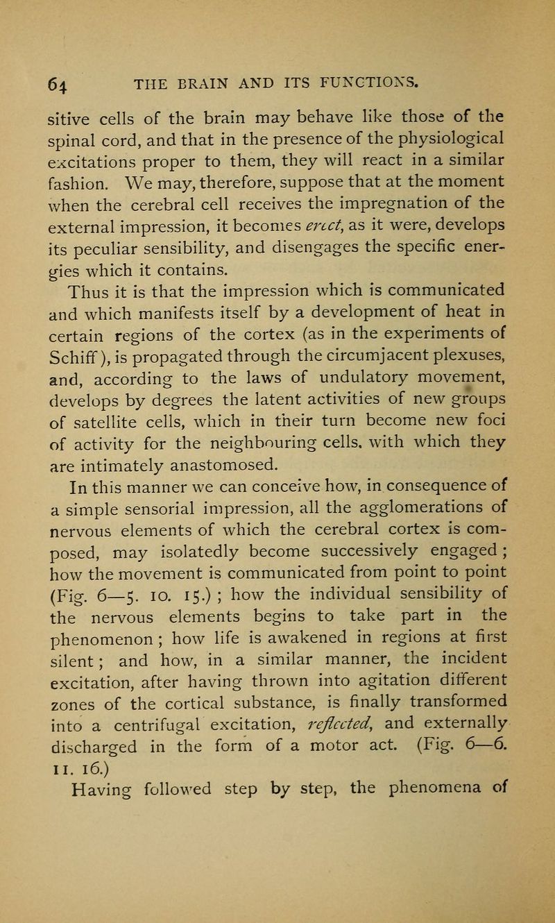 sitive cells of the brain may behave like those of the spinal cord, and that in the presence of the physiological excitations proper to them, they will react in a similar fashion. We may, therefore, suppose that at the moment when the cerebral cell receives the impregnation of the external impression, it becomes erect, as it were, develops its peculiar sensibility, and disengages the specific ener- gies which it contains. Thus it is that the impression which is communicated and which manifests itself by a development of heat in certain regions of the cortex (as in the experiments of Schiff), is propagated through the circumjacent plexuses, and, according to the laws of undulatory movement, develops by degrees the latent activities of new groups of satellite cells, which in their turn become new foci of activity for the neighbouring cells, with which they are intimately anastomosed. In this manner we can conceive how, in consequence of a simple sensorial impression, all the agglomerations of nervous elements of which the cerebral cortex is com- posed, may isolatedly become successively engaged; how the movement is communicated from point to point (Pig, 6—^. 10. 15.) ; how the individual sensibility of the nervous elements begins to take part in the phenomenon ; how life is awakened in regions at first silent; and how. In a similar manner, the incident excitation, after having thrown into agitation different zones of the cortical substance, is finally transformed into a centrifugal excitation, reflected, and externally discharged in the form of a motor act. (Fig. 6—6. II. 16.) Having followed step by step, the phenomena of