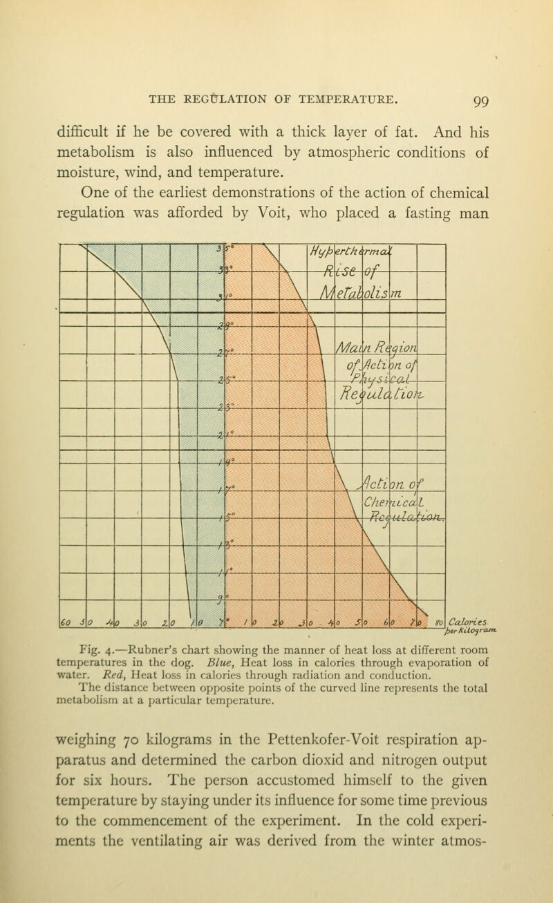 difficult if he be covered with a thick layer of fat. And his metabolism is also influenced by atmospheric conditions of moisture, wind, and temperature. One of the earliest demonstrations of the action of chemical regulation was afforded by Voit, who placed a fasting man l^^r kilogram. Fig. 4.—Rubner's chart showing the manner of heat loss at different room temperatures in the dog. Blue, Heat loss in calories through evaporation of water. Red, Heat loss in calories through radiation and conduction. The distance between opposite points of the curved line represents the total metabolism at a particular temperature. weighing 70 kilograms in the Pettenkofer-Voit respiration ap- paratus and determined the carbon dioxid and nitrogen output for six hours. The person accustomed himself to the given temperature by staying under its influence for some time previous to the commencement of the experiment. In the cold experi- ments the ventilating air was derived from the winter atmos-