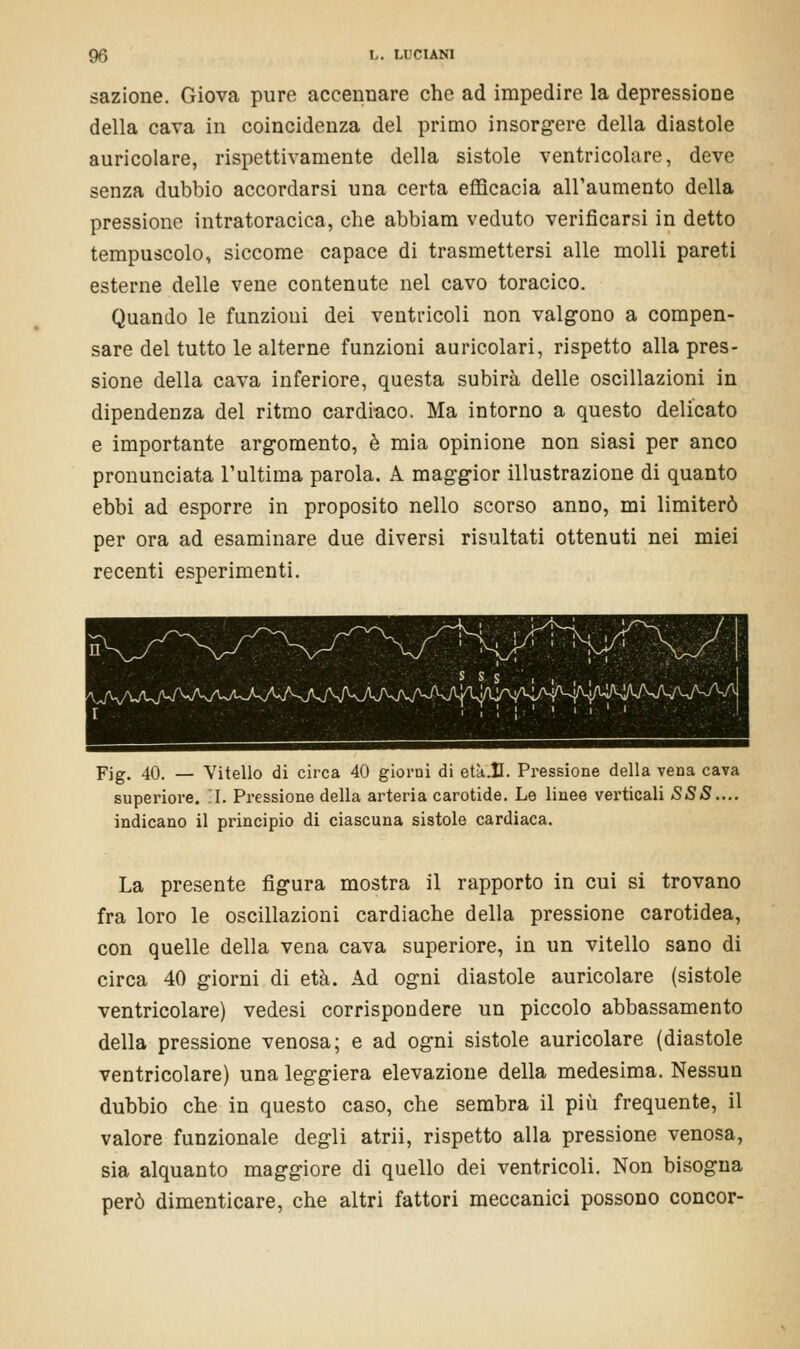 sazione. Giova pure accennare che ad impedire la depressione della cava in coincidenza del primo insorgere della diastole auricolare, rispettivamente della sistole ventricolare, deve senza dubbio accordarsi una certa efficacia all'aumento della pressione intratoracica, che abbiam veduto verificarsi in detto tempuscolo, siccome capace di trasmettersi alle molli pareti esterne delle vene contenute nel cavo toracico. Quando le funzioni dei ventricoli non valgono a compen- sare del tutto le alterne funzioni auricolari, rispetto alla pres- sione della cava inferiore, questa subirà delle oscillazioni in dipendenza del ritmo cardiaco. Ma intorno a questo delicato e importante argomento, è mia opinione non siasi per anco pronunciata l'ultima parola. A maggior illustrazione di quanto ebbi ad esporre in proposito nello scorso anno, mi limiterò per ora ad esaminare due diversi risultati ottenuti nei miei recenti esperimenti. Fig. 40. — Vitello di circa 40 giorni di etàJl. Pressione della vena cava superiore. I. Pressione della arteria carotide. Le linee verticali SSS.... indicano il principio di ciascuna sistole cardiaca. La presente figura mostra il rapporto in cui si trovano fra loro le oscillazioni cardiache della pressione carotidea, con quelle della vena cava superiore, in un vitello sano di circa 40 giorni di età. Ad ogni diastole auricolare (sistole ventricolare) vedesi corrispondere un piccolo abbassamento della pressione venosa; e ad ogni sistole auricolare (diastole ventricolare) una leggiera elevazione della medesima. Nessun dubbio che in questo caso, che sembra il più frequente, il valore funzionale degli atrii, rispetto alla pressione venosa, sia alquanto maggiore di quello dei ventricoli. Non bisogna però dimenticare, che altri fattori meccanici possono concor-