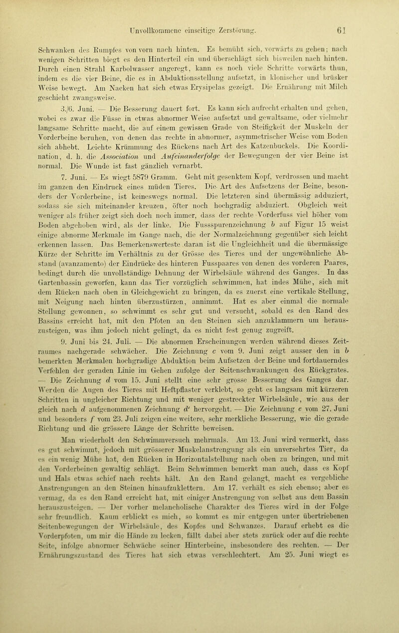 Schwanken des Euraples von vorn nach hinten. Es bemüht sich, vorwärts zu gehen ; nach wenigen Schritten biegt es den Hinterteil ein und überschlägt sich bisweilen nach hinten. Durch einen Strahl Karbolwasser angeregt, kann es noch viele Schritte vorwärts thun, indem es die vier Beine, die es in Abduktionsstellung aufsetzt, in klonischer und brüsker Weise bewegt. Am Nacken hat sich etwas Erysipelas gezeigt. Die Ernährung mit Milch geschieht zwangsweise. 3./6. Juni. — Die Besserung dauert fort. Es kann sich aufrecht erhalten und gehen, wobei es zwar die Füsse in etwas abnormer Weise aufsetzt und gewaltsame, oder vielmehr langsame Schritte macht, die auf einem gewissen Grade von Steifigkeit der Muskeln der Vorderbeine beruhen, von denen das rechte in abnormer, asymmetrischer Weise vom Boden sich abhebt. Leichte Krümmung des Eückens nach Art des Katzenbuckels. Die Koordi- nation, d. h. die Association und Aufeinanderfolge der Bewegungen der vier Beine ist normal. Die Wunde ist fast gänzlich vernarbt. 7. Juni. — Es wiegt 5879 Gramm. Geht mit gesenktem Kopf, verdrossen und macht im ganzen den Eindruck eines müden Tieres. Die- Art des Aufsetzens der Beine, beson- ders der Vorderbeine, ist keineswegs normal. Die letzteren sind übermässig adduziert,. sodass sie sich miteinander kreuzen, öfter noch hochgradig abduziert. Obgleich weit weniger als früher zeigt sich doch noch immer, dass der rechte Vorderfuss viel höher vom Boden abgehoben wird, als der linke. Die Fussspurenzeichnung & auf Eigur 15 weist einige abnorme Merkmale im Gange nach, die der Normalzeichnung gegenüber sich leicht erkennen lassen. Das Bemerkenswerteste daran ist die Ungleichheit und die übermässige Kürze der Schritte im Verhältnis zu der Grösse des Tieres und der ungewöhnliche Ab- stand (avanzamento) der Eindrücke des hinteren Fusspaares von denen des vorderen Paares, bedingt durch die unvollständige Dehnung der Wirbelsäule während des Ganges. In das Gartenbassin geworfen, kann das Tier vorzüglich schwimmen, hat indes Mühe, sich mit dem Eücken nach oben in Gleichgewicht zu bringen, da es zuerst eine vertikale Stellung, mit Neigung nach hinten überzustürzen, annimmt. Hat es aber einmal die normale Stellung gewonnen, so schwimmt es sehr gut und versucht, sobald es den Eand des Bassins erreicht hat, mit den Pfoten an den Steinen sich anzuklammern um heraus- zusteigen, was ihm jedoch nicht gelingt, da es nicht fest genug zugreift. 9. Juni bis 24. Juli. — Die abnormen Erscheinungen werden während dieses Zeit- raumes nachgerade schwächer. Die Zeichnung c vom 9. Juni zeigt ausser den in h bemerkten Merkmalen hochgradige Abduktion beim Aufsetzen der Beine und fortdauerndes Verfehlen der geraden Linie im Gehen zufolge der Seitenschwankungen des Eückgrates. — Die Zeichnung d vom 15. Juni stellt eine sehr grosse Besserung des Ganges dar. Werden die Augen des Tieres mit Heftpflaster verklebt, so geht es langsam mit kürzeren Schritten in ungleicher Eichtung und mit weniger gestreckter Wirbelsäule, wie aus der gleich nach d aufgenommenen Zeichnung d' hervorgeht. — Die Zeichnung e vom 27. Juni und besonders f vom 23. Juli zeigen eine weitere, sehr merkliche Besserung, wie die gerade Richtung und die grössere Länge der Schritte beweisen. Man wiederholt den Schwimmversuch mehrmals. Am 13. Juni wird vermerkt, dass es gut schwimmt, jedoch mit grösserer Muskelanstrengung als ein unversehrtes Tier, da OS ein wenig Mühe hat, den Eücken in Horizontalstellung nach oben zu bringen, und mit den Vorderbeinen gewaltig schlägt. Beim Schwimmen bemerkt man auch, dass es Kopf und Hals etwas schief nach rechts hält. An den Eand gelangt, macht es vergebliche Anstrengungen an den Steinen hinaufzuklettern. Am 17. verhält es sich ebenso; aber es vermag, da es den Eand erreicht hat, mit einiger Anstrengung von selbst aus dem Bassin heraußzusteigcn. — Der vorher melancholische Charakter des Tieres wird in der Folge sehr freundlich. Kaum erblickt es mich, so kommt es mir entgegen unter übertriebenen Seitenbewegungen d(T Wirliclsäub;, des Kopfes und Schwanzes. Darauf erhebt es die Vorderjjfoten, um mir die Hände zu lecken, fällt dabei al)or stets zurück oder auf die rechte .S<;ite, infolge abnormer Schwäche seiner Hinterljeint;, insbesondere des rechten. — Der Emährungsziistand dos Tieres hat sich etwas verschlechtert. Am 25. Juni wiegt es