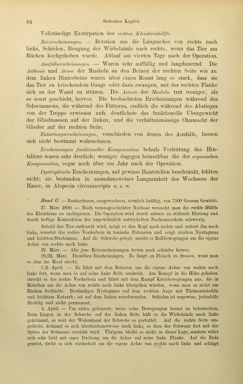 Vollständige Exstirpation der recJden Kleinhirnidilfte. Eeixerticheinuiigcii. — Kotation um die Längsachse von rechts nach links, Schielen, Beugung der Wirbelsäule nach rechts, wenn das Tier am Eücken hochgehoben wurde. Ablauf am vierten Tage nach der Operation. Ausfallserscheinungen. — Waren sehr auffällig und langdauernd. Die Asthenie und Atonie der Muskeln an den Beinen der rechten Seite wie an dem linken Hinterbeine waren über einen Monat lang so stark, dass sie das Tier zu kriechendem Gange oder dazu zwangen, mit der rechten Flanke sich an der Wand zu stützen. Die Astasie der Muskeln trat weniger, als es sonst geschieht, hervor. Die beobachteten Erscheinungen während des Schwimmens, die während des Fütterns, endlich die während des Abstieges von der Treppe erwiesen aufs deutlichste das funktionelle Übergewicht der Gliedmassen auf der linken, und die verhältnismässige Ohnmacht der Glieder auf der rechten Seite. Entartiingserscheinimgen^ verschieden von denen des Ausfalls, Hessen sich nicht bestimmt wahrnehmen. Erscheinungen funktioneller Komimisation behufs Yerhütung des Hin- fallens waren sehr deutlich; weniger dagegen bemerkbar die der organischen Kompensation.^ sogar noch über ein Jahr nach der Operation. Dystrophische Erscheinungen, anf gewisse Hautstellen beschränkt, fehlten nicht; sie bestanden in ansnahmsweiser Langsamkeit des Wachsens der Haare, in Alopecia circumscripta u. s. w. ' H%md U. — Bastardrasse, ausgewachsen, ziemlich, kräftig, von 7500 Gramm Gewicht. 27. März 1890. — Nach vorausgeschickter Narkose versucht man die rechte Hälfte des Kleinhirns zu exstirpieren. Die Operation wird durch schwer zu stillende Blutung und durch heftige Kontraktion der ungewöhnlich entwickelten Nackenmuskeln schwierig. Sohald das Tier entfesselt wird, neigt es den Kopf nach rechts und rotiert ihn nach links, versetzt das rechte Vorderhein in tonische Extension und zeigt starken Nystagmus und leichten Stralwsmus. Auf die Schwebe gelegt, macht es KoUhewegungen um die eigene Achse von rechts nach links. 28. März. — Alle jene Eeizerscheinungen treten noch schärfer hervor. 29./31. März. Dieselben Erscheinungen, Es fängt an Fleisch zu fressen, wenn man es ihm ins Maul steckt. 1./2. April. — Es fährt mit dem Eotieren um die eigene Achse von rechts nach links fort, wenn man es auf seine linke Seite umdreht. Am Rumpf in die Höhe gehoben streckt es das rechte Vorderhein und führt mit dem Eumpf Kreisbewegungen aus, die in Eotation um die Achse von rechts nach links übergehen würden, wemi man es nicht am Eücken festhielte. Beständiger Nystagmus auf dem rechten Auge mit Thränenträufeln und leichtem Katarrh; ist auf dem linken verschwunden. Schielen ist ungewiss ; jedenfalls flüchtig und nicht permanent. 4. April. — Um vieles gebessert; weiss seine Bewegungen besser zu beherrschen. Beim Liegen in der Schwebe auf der linken Seite hält es die Wirbelsäule nach links gekrüromt, so weit der Widerstand der Schwebe es gestattet. Auf die rechte Seite um- gedreht, ki'ümmt es sich übertriebenerweise nach links, so dass der Schwanz fast mit der Spitze der Schnauze erreicht wird. Übrigens bleibt es nicht in dieser Lage, sondern wälzt sich sehr bald mit einer Drehung um die Achse auf seine linke Elanke. Auf die Erde gesetzt, dreht es sich wiederholt um die eigene Achse von rechts nach links und schlägt