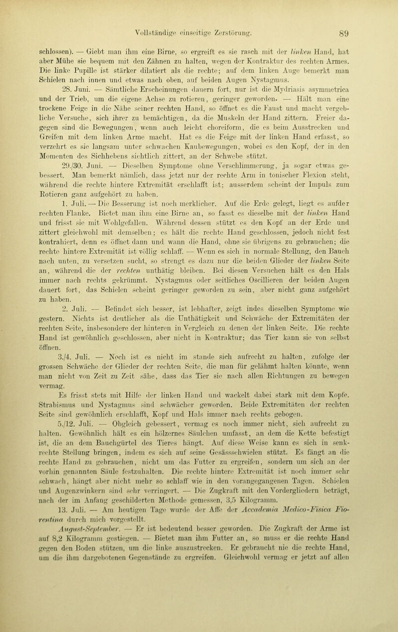 schlössen). — Giebt man ihm eine Birne, so ergi-eift es sie rasch mit der linken Hand, hat aber Mühe sie bequem mit den Zähnen zu halten, wegen der Kontraktur des rechten Armes. Die linke Pupille ist stärker diktiert als die rechte; auf dem linken Auge bemerkt man Schielen nach innen und etwas nach oben, auf beiden Augen Nystagmus. 28. Juni. — Sämtliche Erscheinungen dauern fort, nur ist die Mydriasis asymmetrica und der Trieb, um die eigene Achse zu rotieren, geringer geworden. — Hält man eine trockene Feige in die Nähe seiner rechten Hand, so öffnet es die Faust und macht vergeb- liche Versuche, sich ihrer zu bemächtigen, da die Muskeln der Hand zittern. Freier da- gegen sind die Bewegungen, wenn auch leicht choreiform, die es beim Ausstrecken und Greifen mit dem linken Arme macht. Hat es die Feige mit der linken Hand erfasst, so verzehrt es sie langsam unter schwachen Kaubewegungen, wobei es den Kopf, der in den Momenten des Sichhebens sichtlich zittert, an der Schwebe stützt. 29./30. Juni. — Dieselben Symptome ohne Verschlimmerung, ja sogar etwas ge- bessert. Man bemerkt nämlich, dass jetzt nur der rechte Arm in tonischer Flexion steht, während die rechte hintere Extremität erschlafft ist; ausserdem scheint der Impuls zum Kotieren ganz aufgehört zu haben. 1. Juli. — Die Besserung ist noch merklicher. Auf die Erde gelegt, liegt es aufder rechten Flanke. Bietet man ihm eine Birne an, so fasst es dieselbe mit der linken Hand und frisst sie mit V/ohlgefallen. Während dessen stützt es den Kopf an der Erde und zittert gleichwohl mit demselben ; es hält die rechte Hand geschlossen, jedoch nicht fest kontrahiert, denn es öffnet dann und wann die Hand, ohne sie übrigens zu gebrauchen; die rechte hintere Extremität ist völlig schlaff. — Wenn es sich in normale Stellung, den Bauch nach unten, zu versetzen sucht, so strengt es dazu nur die beiden Glieder der linken Seite an, während die der rechten nnthätig bleiben. Bei diesen Versuchen hält es den Hals immer nach rechts gekrümmt. Nystagmus oder seitliches Oscillieren der beiden Augen dauert fort, das Schielen scheint geringer geworden zu sein, aber nicht ganz aufgehört zu haben. 2. Juli. — Befindet sich besser, ist lebhafter, zeigt indes dieselben Symptome wie gestern. Nichts ist deutlicher als die Unthätigkeit und Schwäche der Extremitäten der rechten Seite, insbesondere der hinteren in Vergleich zu denen der linken Seite. Die rechte Hand ist gewöhnlich geschlossen, aber nicht in Kontraktur; das Tier kann sie von selbst öffnen. .3./4. Juli. — Noch ist es nicht im stände sich aufrecht zu halten, zufolge der grossen Schwäche der Glieder der rechten Seite, die man für gelähmt halten könnte, wenn man nicht von Zeit zu Zeit sähe, dass das Tier sie nach allen Richtungen zu bewegen vermag. Es frisst stets mit Hilfe der linken Hand und wackelt dabei stark mit dem Kopfe. Strabismus und Nystagmus sind schwächer geworden. Beide Extremitäten der rechten Seite sind gewöhnlich erschlafft, Kopf und Hals immer nach rechts gebogen. 5./12. Juli. — Obgleich gebessert, vermag es noch immer nicht, sich aufi-echt zu halten. Gewöhnlich hält es ein hölzernes Säulehen umfasst, an dem die Kette befestigt ist, die an dem Bauchgürtel des Tieres hängt. Auf diese Weise kann es sich in senk- rechte Stf^llung bringen, indem es sich auf seine Gesässschwielen stützt. Es fängt an die rechte Hand zu gebrauchen, nicht um das Futter zu ergreifen, sondern um sich an der vorhin genannten Säule ft'stzuhaltcn. Die rechte hintere Extremität ist noch immer sehr schwach, hängt aber nicht mehr so schlaff wie in den vorangegangenen Tagen. Schielen und Augenzwinkern sind selir vi^rringert. — Die Zugkraft mit den Vordergliedern beträgt, nach der im Anfang geschilderten Metliode gemessen, 3,5 Kilogramm. 13. Juli. — Am heutigen Tage; wurde di'i- Afle der Accademia Medico-Fisica Fio- rentina durch mich vorg«ìst(;llt. AuguHt-Scptemher. — Er ist bedeutend besser geworden. Die Zugkraft der Arme ist auf 8,2 Kilogramm gestiegen. — Bietet man ihm Futter an, so muss er die rechte Hand gegen den I3oden stiitzen, um die linke auszustrecken. Er gebraucht nie die rechte Hand, um die ihm dargebotenen Gegenstände zu ergreifen. Gleichwohl vermag er jetzt auf allen