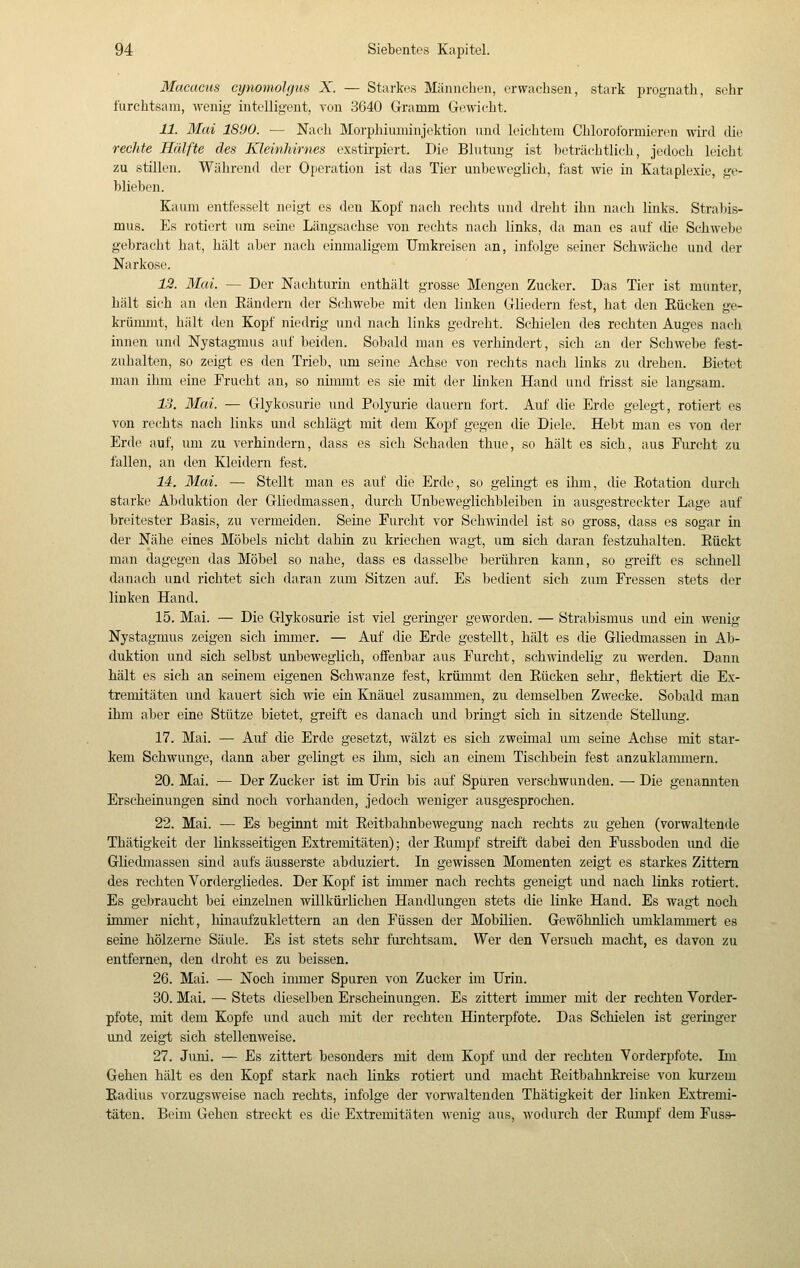 Mucucus cynomohjus X. — Starkes Männchen, erwachsen, stark prognath, sehr furchtsam, wenig- intelligent, von 3G40 Gramm Gi'wicht. 11. Mai 1890. — Nach Morphiiiminjektion und leichtem Chloroformieren wird die rechte Hälfte des Kleinhirnes exstirpiert. Die Blutung- ist beträchtlich, jedoch leicht zu stillen. Während der Operation ist das Tier unbeweglich, fast wie in Kataplexie, ge- blieben. Kaum entfesselt neigt es den Kopf nach rechts und dreht ihn nach links. Strabis- mus. Es rotiert um seine Längsachse von rechts nach links, da man es auf die Schwebe gebracht hat, hält aber nach einmaligem Umkreisen an, infolge seiner Schwäche und der Narkose. 12. Mai. — Der Nachturin enthält grosse Mengen Zucker. Das Tier ist munter, hält sich an den Eändern der Schwebe mit den linken Gliedern fest, hat den Eücken ge- krünnnt, hält den Kopf niedrig und nach links gedreht. Schielen des rechten Auges nach innen und Nystagmus auf beiden. Sobald man es verhindert, sich an der Schwebe fest- zuhalten, so zeigt es den Trieb, um seine Achse von rechts nach links zu drehen. Bietet man ilim eine Frucht an, so nünmt es sie mit der linken Hand und fi-isst sie langsam. 13. Mai. — Glykosurie und Polyurie dauern fort. Auf die Erde gelegt, rotiert es von rechts nach links und schlägt mit dem Kopf gegen die Diele. Hebt man es von der Erde auf, um zu verhindern, dass es sich Schaden thue, so hält es sich, aus Furcht zu fallen, an den Kleidern fest. 14. Mai. — Stellt man es auf die Erde, so gelingt es ihm, die Eotation durch starke Abduktion der Gliedmassen, durch Unbeweglichbleiben in ausgestreckter Lage auf breitester Basis, zu vermeiden. Seine Fui'cht vor Schwindel ist so gross, dass es sogar in der Nähe eines Möbels nicht dahiu zu kriechen wagt, um sich daran festzuhalten. Eückt man dagegen das Möbel so nahe, dass es dasselbe berühren kann, so greift es schnell danach und richtet sich daran zum Sitzen auf. Es bedient sich zum Fressen stets der linken Hand. 15. Mai. — Die Glykosurie ist viel geringer geworden. — Strabismus und em wenig Nystagmus zeigen sich inuner. — Auf die Erde gestellt, hält es die Gliedmassen in Ab- duktion und sich selbst unbeweglich, offenbar aus Furcht, schwindelig zu werden. Dann hält es sich an seinem eigenen Schwänze fest, krümmt den Eücken sehr, flektiert die Ex- tremitäten und kauert sich wie ein Knäuel zusammen, zu demselben Zwecke. Sobald man ihm aber eine Stütze bietet, greift es danach und bringt sich in sitzende Stellung. 17. Mai. — Auf die Erde gesetzt, wälzt es sich zweimal um seine Achse mit star- kem Schwünge, dann aber gelingt es ihm, sich an einem Tischbein fest anzuklammern. 20. Mai. — Der Zucker ist im Urin bis auf Spuren verschwunden. — Die genannten Erscheinungen sind noch vorhanden, jedoch weniger ausgesprochen. 22. Mai. — Es beginnt mit Eeitbahnbewegung nach rechts zu gehen (vorwaltende Thätigkeit der linksseitigen Extremitäten) ; der Eumpf streift dabei den Fussboden imd die Gliedmassen sind aufs äusserste abduziert. In gewissen Momenten zeigt es starkes Zittern des rechten Vordergliedes. Der Kopf ist ümner nach rechts geneigt und nach links rotiert. Es gebraucht bei einzelnen willkürlichen Handlungen stets die linke Hand. Es wagt noch immer nicht, hmaufzuklettern an den Füssen der Mobüien. Gewöhnlich umklammert es seine hölzerne Säule. Es ist stets sehr furchtsam. Wer den Versuch macht, es davon zu entfernen, den tlroht es zu beissen. 26. Mai. — Noch inuner Spuren von Zucker im Urin. 30. Mai. — Stets dieselben Erscheinungen. Es zittert immer mit der rechten Vorder- pfote, mit dem Kopfe und auch mit der rechten Hinterpfote. Das Schielen ist geringer und zeigt sich stellenweise. 27. Juni. — Es zittert besonders mit dem Kopf imd der rechten Vorderpfote. Im Gehen hält es den Kopf stark nach links rotiert und macht Eeitbahnkreise von kurzem Eadius vorzugsweise nach rechts, infolge der vorwaltenden Thätigkeit der linken Extremi- täten. Beim Gehen streckt es die Extremitäten wenig aus, wodurch der Eumpf dem Fus&-