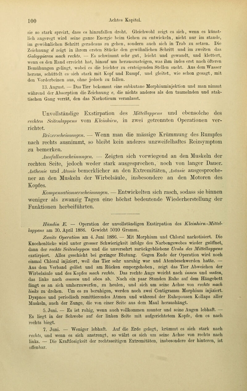 sie so stark spreizt, dass es hinzufallen droht. Gleichwohl zeigt es sich, wenn es künst- lich angeregt wird seine ganze Energie beim Gehen zu entwickeln, nicht nur im stände, im gewöhnlichen Schritt geradeaus zu gehen, sondern auch sich in Trab zu setzen. Die Zeichnung d zeigt in ihrem ersten Stücke den gewöhnlichen Schritt und im zweiten das Galoppieren nach rechts. — Es schwimmt sehr gut, leicht und gewandt, imd klettert, wenn es den Eand erreicht hat, hinauf um herauszusteigen, was ihm indes erst nach öfteren Bemühungen gelingt, wobei es die leichter zu ersteigenden Stellen sucht. Aus dem Wasser heraus, schüttelt es sich stark mit Kopf und Eumpf, und gleitet, wie schon gesagt, mit den Vorderbeinen aus, ohne jedoch zu fallen. 13. August. — Das Tier bekommt eine subkutane Morphiuminjektion und man nimmt während der Absorption die Zeichnung e, die nichts anderes als den taumelnden und atak- tischen Gang verrät, den das Narkoticum veranlasst. Unvollständige Exstirpation des Mittellappens und ebensolche des rechten Seitenlappens vom Kleinhirn, in zwei getrennten Operationen ver- richtet. Feixerscheinungen. — Wenn man die massige Krümmung des Eumpfes nach rechts ausnimmt, so bleibt kein anderes unzweifelhaftes Eeizsymptom zu bemerken. Ausfallserscheinungen. — Zeigten sich vorwiegend an den Muskeln der rechten Seite, jedoch weder stark ausgesprochen, noch von langer Dauer. Asthenie und Atonie bemerklicher an den Extremitäten, Astasie ausgesproche- ner an den Muskeln der Wirbelsäule, insbesondere an den Motoren des Kopfes. Kompensationserscheinungen. — Entwickelten sich rasch, sodass sie binnen weniger als zwanzig Tagen eine höchst bedeutende Wiederherstellung der Funktionen herbeiführten. Hündin E. — Operation der unvollständigen Exstirpation des Kleinhirn-Mittei- lappens am 30. April 1886. Gewicht 5010 Gramm. Ztveite Operation am 4. Juni 1886. — Mit Morphium und Chloral narkotisiert. Die Knochenlücke wird unter grosser Schwierigkeit infolge des Narbengewebes wieder geöffnet, dann der rechte Seitenlappen und die unversehrt zurückgebliebene TJvida des Mittellappens exstirpiert. Alles geschieht bei geringer Blutung. Gegen Ende der Operation wird noch einmal Chloral injiziert, weil das Tier sehr unruhig war und Atembeschwerden hatte. — Aus dem Verband gelöst und am Eücken emporgehoben, zeigt das Tier Abweichen der Wirbelsäule und des Kopfes nach rechts. Das rechte Auge weicht nach innen und imten, das linke nach aussen und oben ab. Nach ein paar Stunden Euhe auf dem Hängebett fangt es an sich imiherzuwerfen, zu heulen, und sich um seine Achse von rechts nach links zu drehen. Um es zu beruhigen, werden noch zwei Centigramm Morphium injiziert. Dyspnoe und periodisch remittierendes Atmen und während der Euhepausen Kollaps aller Muskeln, auch der Zunge, die von einer Seite aus dem Maul heraushängt. 5. Juni. — Es ist ruhig, wenn auch vollkommen munter und seine Augen lebhaft. — Es liegt in der Schwebe auf der linken Seite mit aufgerichtetem Kopfe, den es nach rechts biegt. 7. Juni. — Weniger lebhaft. Auf die Erde gelegt, krümmt es sich stark nach rechts, und wenn es sich anstrengt, so wälzt es sich um seine Achse von rechts nach links. — Die Kraftlosigkeit der rechtsseitigen Extremitäten, insbesondere der hinteren, ist offenbar.