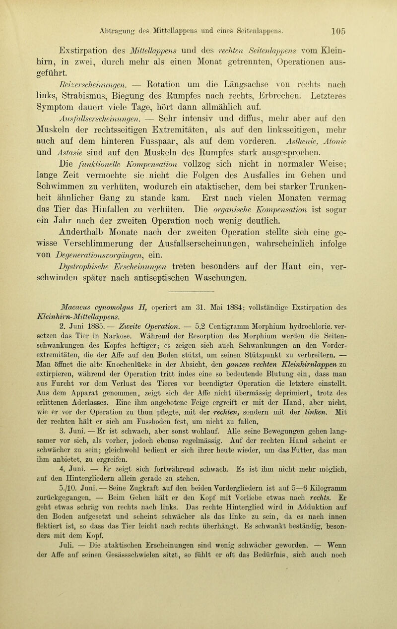 Exstirpation des Mütellapjjens und des reciden Seitenlajyjjens vom Klein- hirn, in zwei, durch mehr als einen Monat getrennten, Operationen aus- geführt. Reizersciieimmgen. — Rotation um die Längsachse von rechts nach links, Strabismus, Biegung des Rumpfes nach rechts, Erbrechen. Letzteres Symptom dauert viele Tage, hört dann allmählich auf. Äusfallsersclieimmgeii. — Sehr intensiv und diffus, mehr aber auf den Muskeln der rechtsseitigen Extremitäten, als auf den linksseitigen, mehr auch auf dem hinteren Fusspaar, als auf dem vorderen. Astlwnie, Atonie und Astasie sind auf den Muskeln des Rumpfes stark ausgesprochen. Die funktionelle Komfpensation vollzog sich nicht in normaler Weise; lange Zeit vermochte sie nicht die Folgen des Ausfalles im Gehen und Schwimmen zu verhüten, vs^odurch ein ataktischer, dem bei starker Trunken- heit ähnlicher Gang zu stände kam. Erst nach vielen Monaten vermag das Tier das Hinfallen zu verhüten. Die organische Kompensation ist sogar ein Jahr nach der zweiten Operation noch wenig deutlich. Anderthalb Monate nach der zweiten Operation stellte sich eine ge- wisse Yerschlimmerung der Ausfallserscheinungen, wahrscheinlich infolge von Degenerationsvorgängeii^ ein. Dystrophische Eischeinungen treten besonders auf der Haut ein, ver- schwinden später nach antiseptischen Waschungen. Macacus cynomölgus H, operiert am 31. Mai 1884; vollständige Exstirpation des Kleinhii'n-Mittellappens. 2. Juni 1885. — Zweite Operation. ■— 5,2 Centigranini Morphium hydrocliloric. ver- setzen das Tier in Narkose. Während der Eesorption des Morphium werden die Seiten- schwankungen des Kopfes heftiger; es zeigen sich auch Schwankungen an den Vorder- extremitäten, die der Affe auf den Boden stützt, um seinen Stützpunkt zu verbreitern. — Man öffnet die alte Knochenlücke in der Absicht, den ganzen rechten Klevnhirnlappen zu extirpieren, während der Operation tritt indes eine so bedeutende Blutung ein, dass man aus Furcht vor dem Verlust des Tieres vor beendigter Operation die letztere einstellt. Aus dem Apparat genommen, zeigt sich der Affe nicht übermässig deprimiert, trotz des erlittenen Aderlasses. Eine ihm angebotene Eeige ergreift er mit der Hand, aber nicht, wie er vor der Operation zu thun pflegte, mit der rechten, sondern mit der Unken. Mit der rechten hält er sich am Fussboden fest, um nicht zu fallen. 3. Juni. — Er ist schwach, aber sonst wohlauf. Alle seine Bewegungen gehen lang- samer vor sich, als vorher, jedoch ebenso regelmässig. Auf der rechten Hand scheint er schwächer zu sein; gleichwohl bedient er sich ihrer heute wieder, um das Futter, das man ihm anbietet, zu ergreifen. 4. Juni. — Er zeigt sich fortwährend schwach. Es ist ihm nicht mehr möglich, auf den Hintergliedern allein gerade zu stehen. 5./10. Juni. — Seine Zugkraft auf den beiden Vordergliedern ist auf 5—6 Kilogramm zurückgegangen. — Beim Gehen hält er den Kopf mit Vorliebe etwas nach rechts. Er geht etwas schräg von rechts nach links. Das rechte Hinterglied wird in Adduktion auf den Boden aufgesetzt und scheint schwächer als das linke zu sein, da es nach innen flektiert ist, so dass das Tier leicht nach rechts überhängt. Es schwankt beständig, beson- ders mit dem Kopf. Juli. — Die ataktischen Erscheinungen sind wenig schwächer geworden. — Wenn der Affe auf seinen Gesässschwielen sitzt, so fühlt er oft das Bedürfnis, sich auch noch