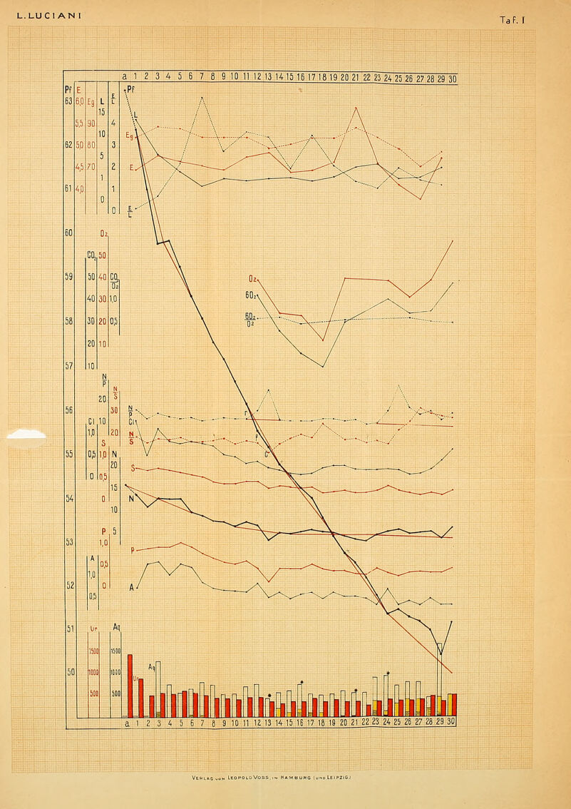 a 1 2 3 4 5 6 7 8 9 10 1112 13 1415 16 17 1619 20 21 22 23 242526 27 28 29 30 iflfcitok^fc