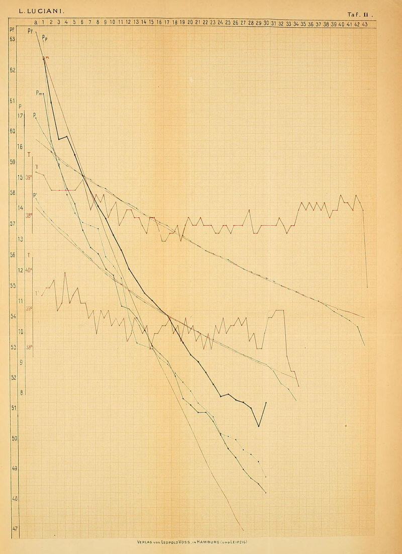 Taf. II a 1 2 3 4 5 6 7 8 9 10 11 12 13 H 15 16 1718 19 20 21 22 23 24 25 26 27 28 29 30 31 323334 35 36 37 38 39 40 41 42 43 VC« Leo«>ldVoss.,nHawbuho ^...Leipzig)