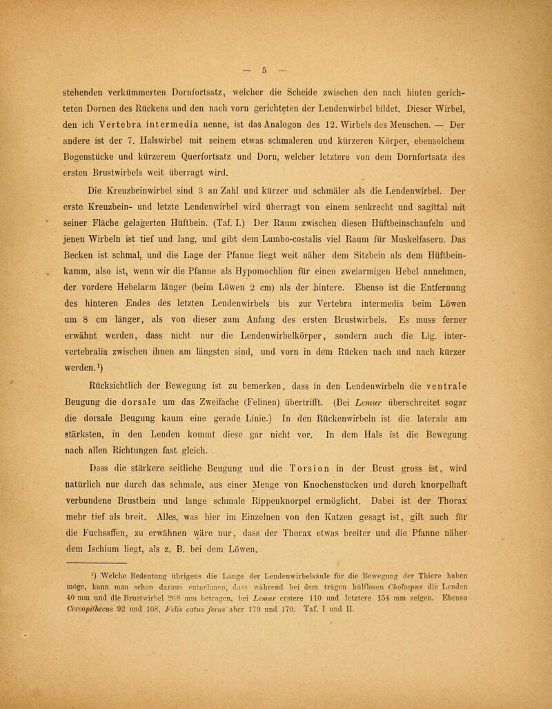 stehenden verkümmerten Dornf'ortsatz, welcher die Scheide z\Yischen den nach hinten gerich- teten Dornen des Rückens und den nach vorn gerichteten der Lendenwirbel bildet. Dieser Wirbel, den ich Vertebra intermedia nenne, ist das Analogen des 12. Wirbels des Menschen. — Der andere ist der 7. Halswirbel mit seinem etwas schmaleren und kürzeren Körper, ebensolchem Bogenstücke und kürzerem Querfortsatz und Dorn, welcher letztere von dem Dornfortsatz des ersten Brustwirbels weit überragt wird. Die Kreuzbeinwirbel sind 3 an Zahl und kürzer und schmäler als die Lendenwirbel. Der erste Kreuzbein- und letzte Lendenwirbel wird überragt von einem senkrecht und sagittal mit seiner Fläche gelagerten Hüftbein. (Taf. L) Der Raum zwischen diesen Hüftbeinschaufeln und jenen Wirbeln ist tief und lang, und gibt dem Lumbo-costalis viel Raum für Muskelfasern. Das Becken ist schmal, und die Lage der Pfanne liegt weit näher dem Sitzbein als dem Hüftbein- kamm, also ist, wenn wir die Pfanne als Hypomochlion für einen zweiarmigen Hebel annehmen, der vordere Hebelarm länger (beim Löwen 2 cm) als der hintere. Ebenso ist die Entfernung des hinteren Endes des letzten Lendenwirbels bis zur Vertebra intermedia beim Löwen um 8 cm länger, als von dieser zum Anfang des ersten Brustwirbels. Es muss ferner erwähnt werden, dass nicht nur die Lendenwirbelkörper, sondern auch die Lig. inter- vertebralia zwischen ihnen am längsten sind, und vorn in dem Rücken nach und nach kürzer werden. ^) Rücksichthch der Bewegung ist zu bemerken, dass in den Lendenwirbeln die ventrale Beugung die dorsale um das Zweifache (Felinen) übertrifft. (Bei Lemur überschreitet sogar die dorsale Beugung kaum eine gerade Linie.) In den Rückenwirbeln ist die laterale am stärksten, in den Lenden kommt diese gar nicht vor. In dem Hals ist die Bewegung nach allen Richtungen fast gleich. Dass die stärkere seitUche Beugung und die Torsion in der Brust gross ist, wird natürlich nur durch das schmale, aus einer Menge von Knochenstücken und durch knorpelhaft verbundene Brustbein und lange schmale Rippenknorpel ermöglicht. Dabei ist der Thorax mehr tief als breit. Alles, was hier im Einzelnen von den Katzen gesagt ist, gilt auch für die Fuchsaffen, zu erwähnen wäre nur, dass der Thorax etwas breiter und die Pfanne näher dem Ischium liegt, als z. B. bei dem Löwen. ') Welche Bedeutung übrigens die Länge der Lendenwirbelsäule für die Bewegung der Tliiere haben möge, kann man schon daraus entnehmen, dass während hei dem trägen hülfloseu Clwloepits die Lenden 40 mm und die Brustwirbel 208 mm betragen, bei Lemur erstere 110 und letztere 154 mm zeigen. Ebenso .