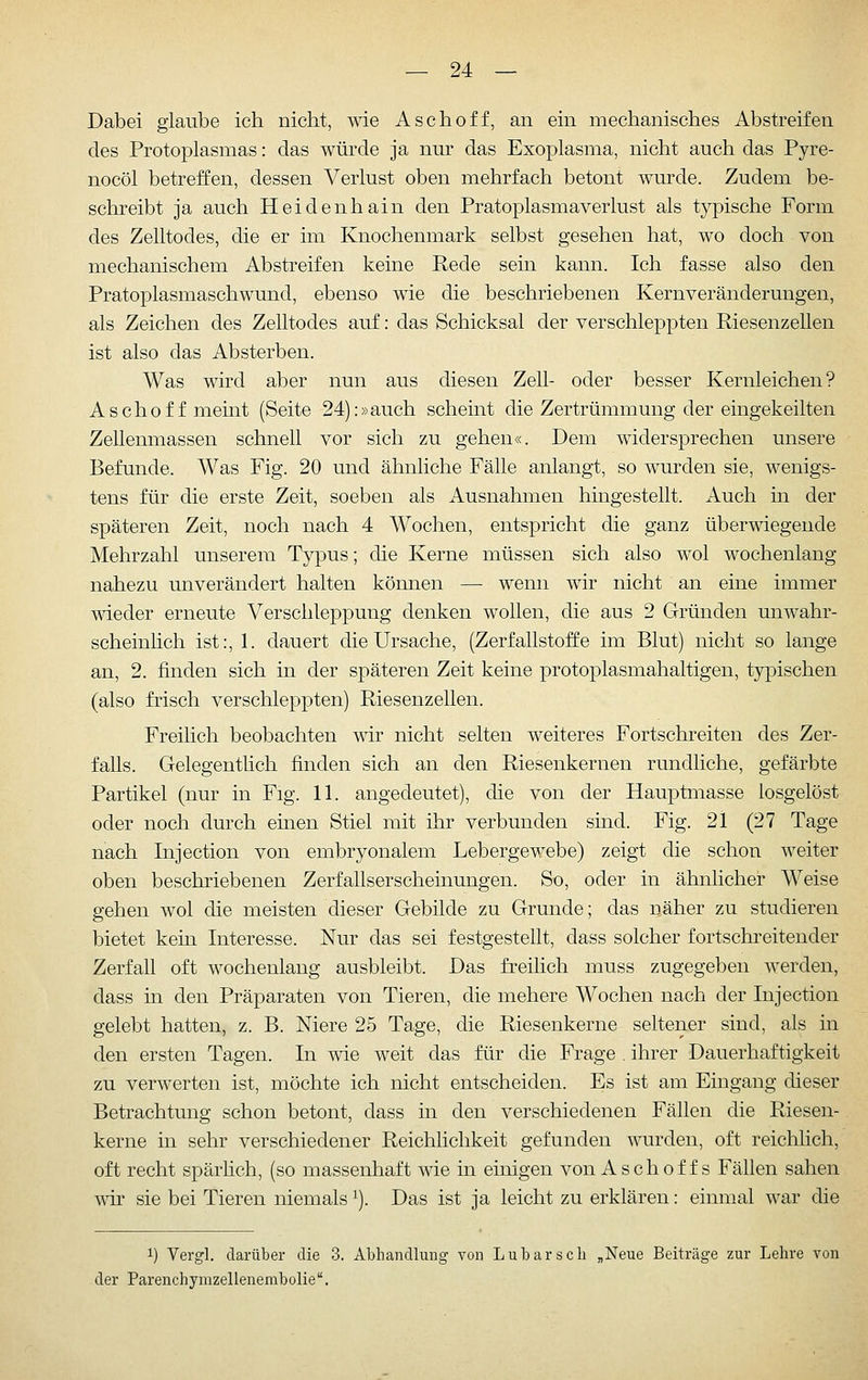 Dabei glaube ich nicht, wie Aschoff, an ein mechanisches Abstreifen des Protoplasmas: das würde ja nur das Exoplasma, nicht auch das Pyre- nocöl betreffen, dessen Verlust oben mehrfach betont wurde. Zudem be- schreibt ja auch Heidenhain den Pratoplasmaverlust als typische Form des Zelltodes, die er im Knochenmark selbst gesehen hat, wo doch von mechanischem Abstreifen keine Rede sein kann. Ich fasse also den Pratoplasmaschwund, ebenso wie die beschriebenen Kernveränderungen, als Zeichen des Zelltodes auf: das Schicksal der verschleppten Riesenzellen ist also das Absterben. Was wird aber nun aus diesen Zell- oder besser Kernleichen? Aschoff meint (Seite 24).-»auch scheint die Zertrümmung der eingekeilten Zellenmassen schnell vor sich zu gehen«. Dem widersprechen unsere Befunde. Was Fig. 20 und ähnliche Fälle anlangt, so wurden sie, wenigs- tens für die erste Zeit, soeben als Ausnahmen hingestellt. Auch in der späteren Zeit, noch nach 4 Wochen, entspricht die ganz überwiegende Mehrzahl unserem Typus; die Kerne müssen sich also wol wochenlang nahezu unverändert halten können — wenn wir nicht an eine immer wieder erneute Verschleppung denken wollen, die aus 2 Gründen unwahr- scheinhch ist:, 1. dauert die Ursache, (Zerfallstoffe im Blut) nicht so lange an, 2. finden sich in der späteren Zeit keine protoplasmahaltigen, typischen (also frisch verschleppten) Riesenzellen. Freilich beobachten wir nicht selten weiteres Fortschreiten des Zer- falls. Gelegenthch finden sich an den Riesenkernen rundliche, gefärbte Partikel (nur in Fig. 11. angedeutet), die von der Hauptmasse losgelöst oder noch durch einen Stiel mit ihr verbunden sind. Fig. 21 (27 Tage nach Injection von embryonalem Lebergewebe) zeigt die schon weiter oben beschriebenen Zerfallserscheinungen. So, oder in ähnlicher Weise gehen wol die meisten dieser Gebilde zu Grunde; das näher zu studieren bietet kein Interesse. Nur das sei festgestellt, dass solcher fortschreitender Zerfall oft wochenlang ausbleibt. Das freilich muss zugegeben werden, dass in den Präparaten von Tieren, die mehere Wochen nach der Injection gelebt hatten, z. B. Niere 25 Tage, die Riesenkerne seltener sind, als in den ersten Tagen. In wie weit das für die Frage . ihrer Dauerhaftigkeit zu verwerten ist, möchte ich nicht entscheiden. Es ist am Eingang dieser Betrachtung schon betont, dass in den verschiedenen Fällen die Riesen- kerne in sehr verschiedener Reichlichkeit gefunden wurden, oft reichlich, oft recht spärüch, (so massenhaft wie in einigen von A seh off s Fällen sahen wir sie bei Tieren niemals ^). Das ist ja leicht zu erklären: einmal war die 1) Vergl. darüber die 3. Abhandlung von Lubarsch „Neue Beiträge zur Lehre von der Parenchymzellenembolie,