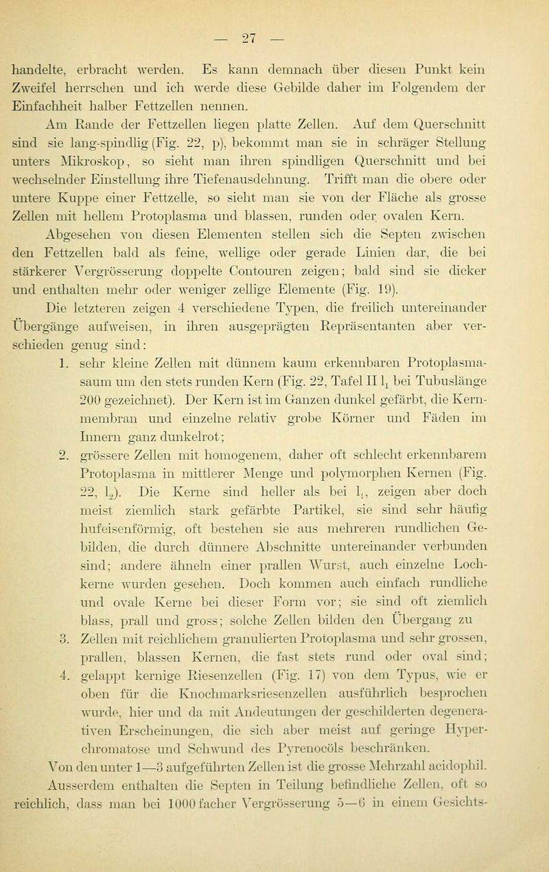 handelte, erbracht werden. Es kann demnach über diesen Punkt kein Zweifel herrschen und ich werde diese Gebilde daher im Folgendem der Einfachheit halber Fettzellen nennen. Am Rande der Fettzellen liegen platte Zellen. Auf dem Querschnitt sind sie lang-spindhg (Fig. 22, p), bekommt man sie in schräger Stellung unters Mikroskop, so sieht man ihren spindligen Querschnitt und bei wechselnder Einstellung ihre Tiefenausdehnung. Trifft man die ollere oder untere Kuppe einer Fettzelle, so sieht man sie von der Fläche als grosse Zellen mit hellem Protoplasma und blassen, runden oder ovalen Kern. Abgesehen von diesen Elementen stellen sich die Septen zwischen den Fettzellen bald als feine, wellige oder gerade Linien dar, die bei stärkerer A^ergrösserung doppelte Contoui'en zeigen; bald sind sie dicker und enthalten mehr oder weniger zellige Elemente (Fig. 19). Die letzteren zeigen 4 verschiedene Typen, die freilich untereinander Übergänge aufweisen, m ihi'en ausgeprägten Repräsentanten aber ver- schieden genug sind: 1. sehr kleine Zellen mit dünnem kaum erkennbaren Protoplasma- saum um den stets runden Kern (Fig. 22, Tafel II1^ bei Tubuslänge 200 gezeichnet). Der Kern ist im Ganzen dunkel gefärbt, die Kern- membran und einzelne relativ grobe Körner und Fäden im Innern ganz dunkelrot; 2. grössere Zellen mit homogenem, daher oft schlecht erkennbarem Protoplasma in mittlerer Menge und polymorphen Kernen (Fig. 22, L,). Die Kerne sind heller als bei 1,, zeigen aber doch meist ziemhch stark gefärbte Partikel, sie sind sehr häufig hufeisenförmig, oft bestehen sie aus mehreren rundlichen Ge- bilden, die durch dünnere Abschnitte untereinander verl)unden sind; andere ähneln einer prallen Wurst, auch einzelne Loch- kerne wm-den gesehen. Doch kommen auch einfach rundhche und ovale Kerne bei dieser Form vor; sie sind oft ziemlich blass, prall und gross; solche Zellen bilden den Übergang zu 3. Zellen mit reichhchem granuherten Protoplasma und sehr grossen, prallen, blassen Kernen, die fast stets rund oder oval sind; 4. gelappt kernige Riesenzellen (Fig. 17) von dem Typus, wie er ol3en für die Knochmarksriesenzellen ausführlich besprochen wurde, hier und da mit Andeutungen der geschilderten degenera- tiven Erscheinungen, die sich aber meist auf geringe Hyper- chromatose und Schwund des Pyrenocöls beschränken. Von den unter 1—3 aufgeführten Zellen ist die grosse Mehrzahl acidophil. Ausserdem enthalten die Septen in Teilung befindliche Zellen, oft so reichhch, dass man bei 1000 facher Vergrösserung 5—G in einem Gesichts-