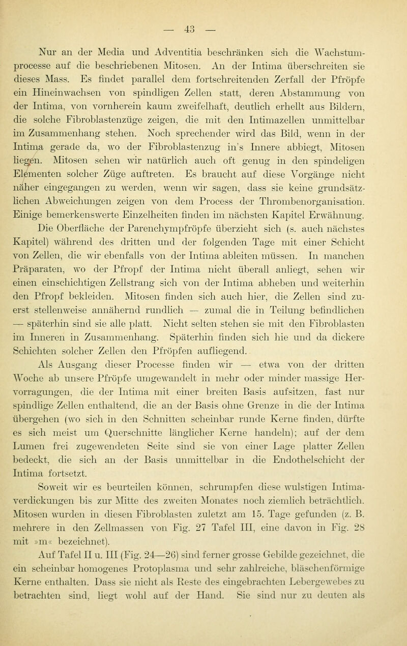 Nur an der Media und Adventitia beschränken sieh die Wachstum- processe auf die beschriebenen Mitosen. An der Intima überschreiten sie dieses Mass. Es findet parallel dem fortschreitenden Zerfall der Pfropfe ein Hineinwachsen von spindligen Zellen statt, deren Abstammung von der Intima, von vornherein kaum zweifelhaft, deutlich erhellt aus Bildern, die solche Fibroblastenzüge zeigen, die mit den Intimazellen unmittelbar im Zusammenliang stehen. Noch sprechender wdrd das Bild, wenn in der Intima gerade da, wo der Fibroblastenzug in's Innere abbiegt, Mitosen liegten. Mitosen sehen wir natürlich auch oft genug in den spindeligen Elementen solcher Züge auftreten. Es braucht auf diese Vorgänge nicht näher eingegangen zu werden, wenn wir sagen, dass sie keine grundsätz- hchen Abweichungen zeigen von dem Process der Thrombenorganisation. Einige bemerkenswerte Einzelheiten finden im nächsten Kapitel Erwähnung. Die Oberfläche der Parenchympfröpfe überzieht sich (s. auch nächstes Kapitel) w^ährend des dritten und der folgenden Tage mit einer Schicht von Zellen, die wir ebenfalls von der Intima ableiten müssen. In manchen Präparaten, wo der Pfropf der Intima nicht überall anliegt, sehen \\dr einen einschichtigen Zellstrang sich von der Intima abheben und weitertdn den Pfropf bekleiden. Mitosen finden sich auch hier, die Zellen sind zu- erst stellenweise annähernd rundlich — zumal die in Teilung befindhchen — späterhin sind sie alle platt. Nicht selten stehen sie mit den Fibroblasten im Inneren in Zusammenhang. Späterliin finden sich hie und da dickere Schichten solcher Zellen den Pfropfen aufliegend. Als Ausgang dieser Processe finden wir — etwa von der dritten Woche ab unsere Pfropfe umgewandelt in mehr oder minder massige Her- vorragungen, die der Intima mit einer breiten Basis aufsitzen, fast nur spindlige Zellen enthaltend, die an der Basis ohne Grenze in die der Intima übergehen (wo sich in den Schnitten scheinbar runde Kerne finden, düj-fte es sich meist um Querschnitte längHcher Kerne handeln); auf der dem Lumen frei zugewendeten Seite sind sie von emer Lage platter Zellen bedeckt, die sich an der Basis unmittelbar in die Endothelschicht der Intima fortsetzt. Soweit wir es beurteilen können, schrumpfen diese wulstigen Intima- verdickungen bis zur Mitte des zweiten Monates noch ziemlich beträchtlich. Mitosen wurden in diesen Fibroblasten zuletzt am 15. Tage gefunden (z. B. mehrere in den Zellmassen von Fig. 27 Tafel III, eine davon in Fig. 28 mit »m'< bezeichnet). Auf Tafel II u. III (Fig. 24—26) sind ferner grosse Gebilde gezeichnet, die ein scheinbar homogenes Protoplasma und sehr zahlreiche, bläschenförmige Kerne enthalten. Dass sie nicht als Reste des eingebrachten Lebergewebes zu betrachten sind, lies-t wohl auf der Hand. Sie sind nur zu deuten als